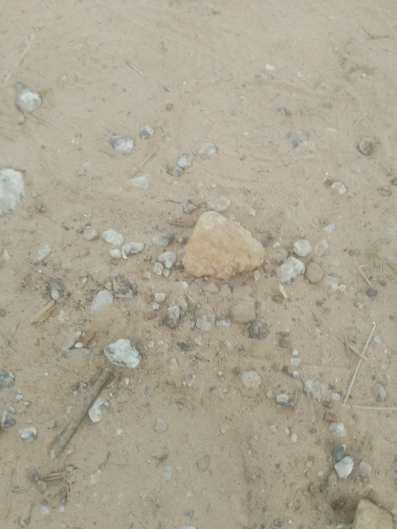 A close-up, high-angle shot shows a sandy, uneven surface dotted with numerous small stones and pebbles of varying colors, primarily beige, grey, and white. A larger, light brown, irregular-shaped stone is prominently positioned slightly left of the center. Several thin, dry twigs are scattered across the ground. The overall texture of the environment is gritty and dry. The image appears to be taken outdoors, likely in a location with dry soil and sparse vegetation, consistent with an arid or semi-arid environment. No people or animals are visible. The scene depicts a natural ground surface.