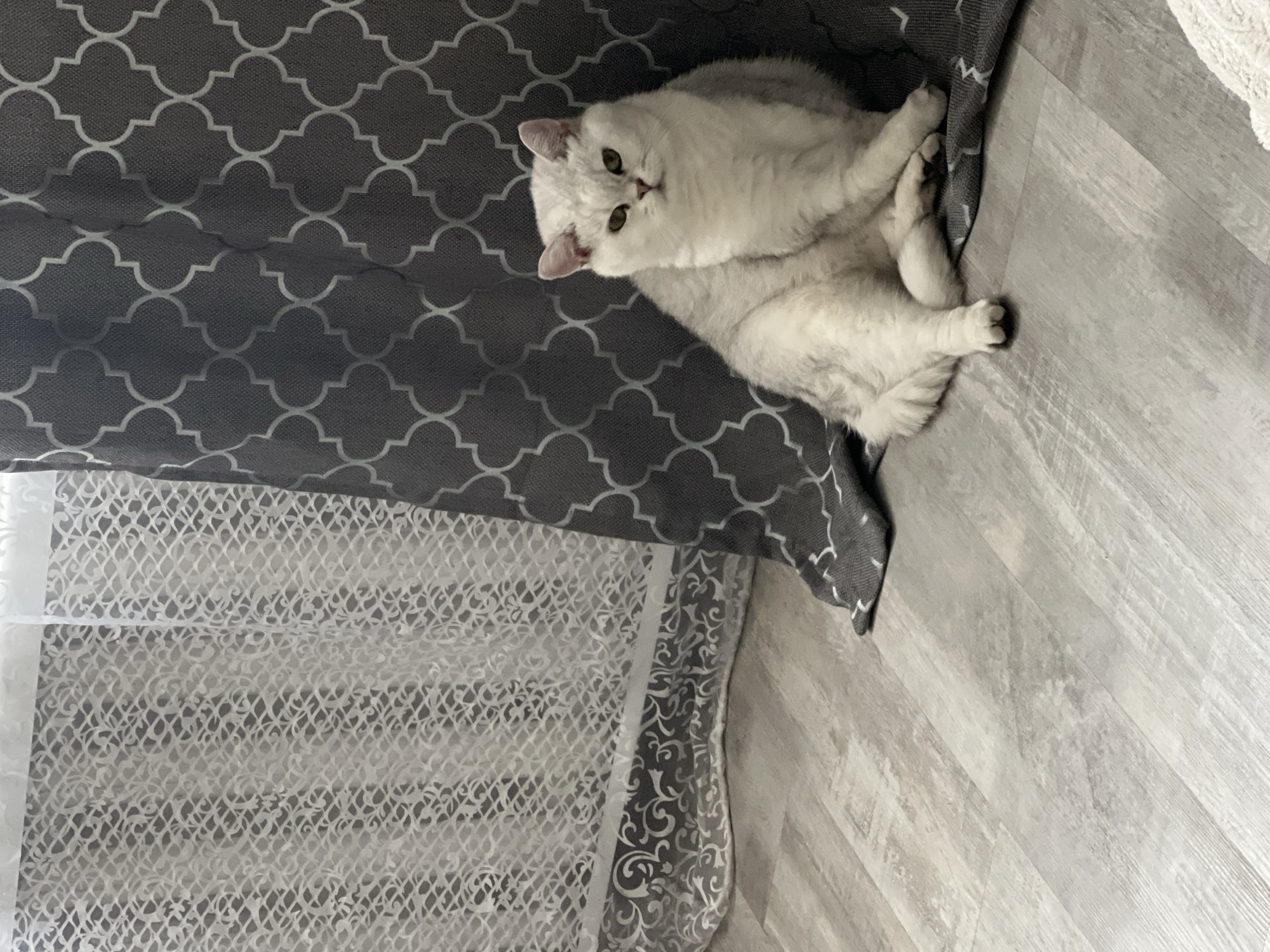 A gray cat is lying on a gray and white patterned curtain, which is partially covering a white patterned curtain. The curtains are hanging next to a gray wooden floor. The location is unknown.