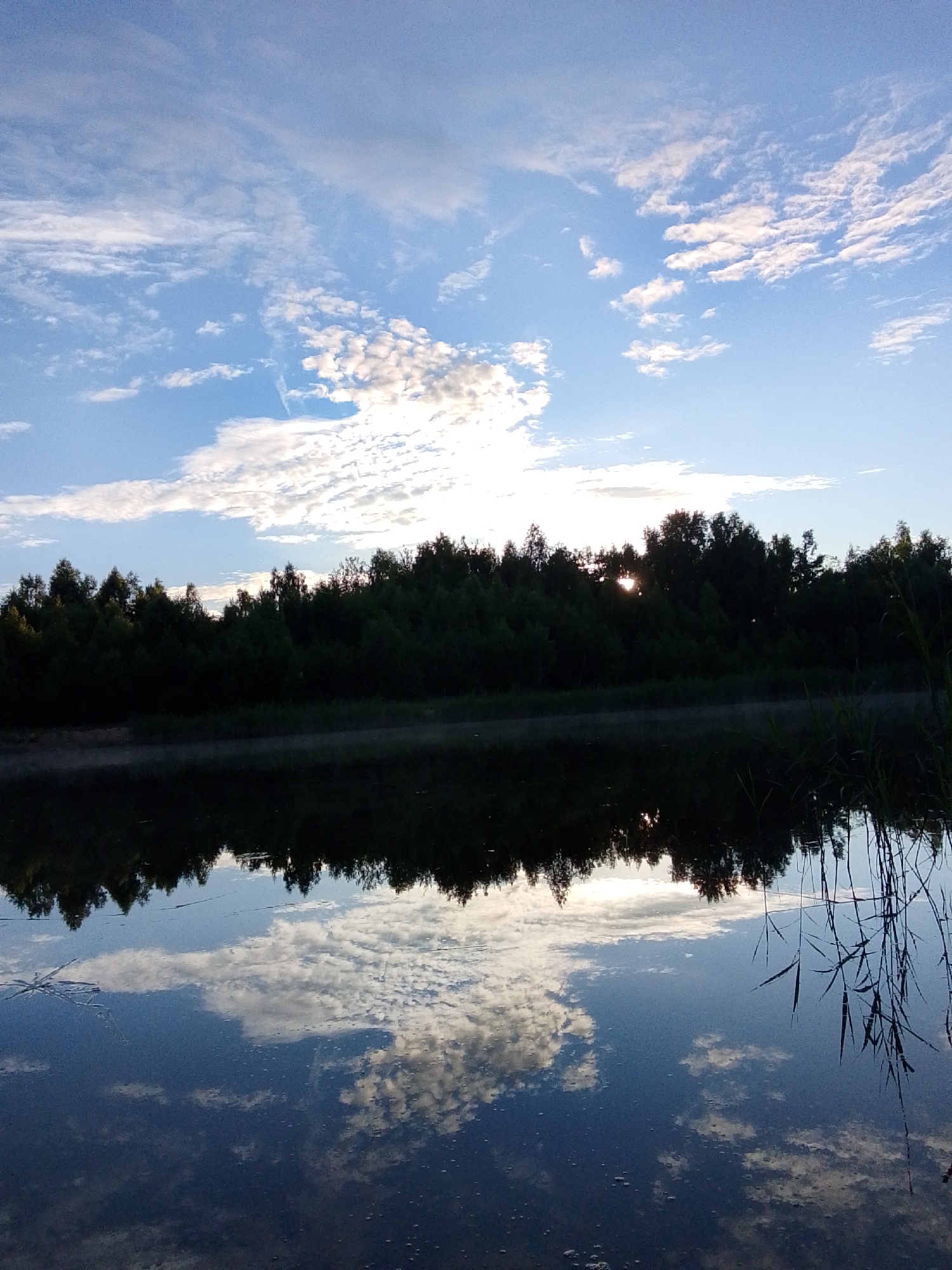The image depicts a serene natural scene of a wide body of water reflecting a cloudy blue sky and a dense line of trees along the opposite bank. The sun is low in the sky, peeking through the trees, suggesting either sunrise or sunset. Wispy white clouds are scattered across the sky, some catching the sunlight and appearing brighter. The water's surface is calm, creating a near-perfect mirror image of the sky and the treeline.
Notable details include the faint mist rising from the water's edge in the foreground, adding to the tranquil atmosphere. Tall reeds or grasses are visible along the right bank, their reflections also captured in the water. The overall mood of the image is peaceful and contemplative, evoking a sense of natural beauty. The location context provided is Снопок Новый, Russia. There is no visible text in the image.