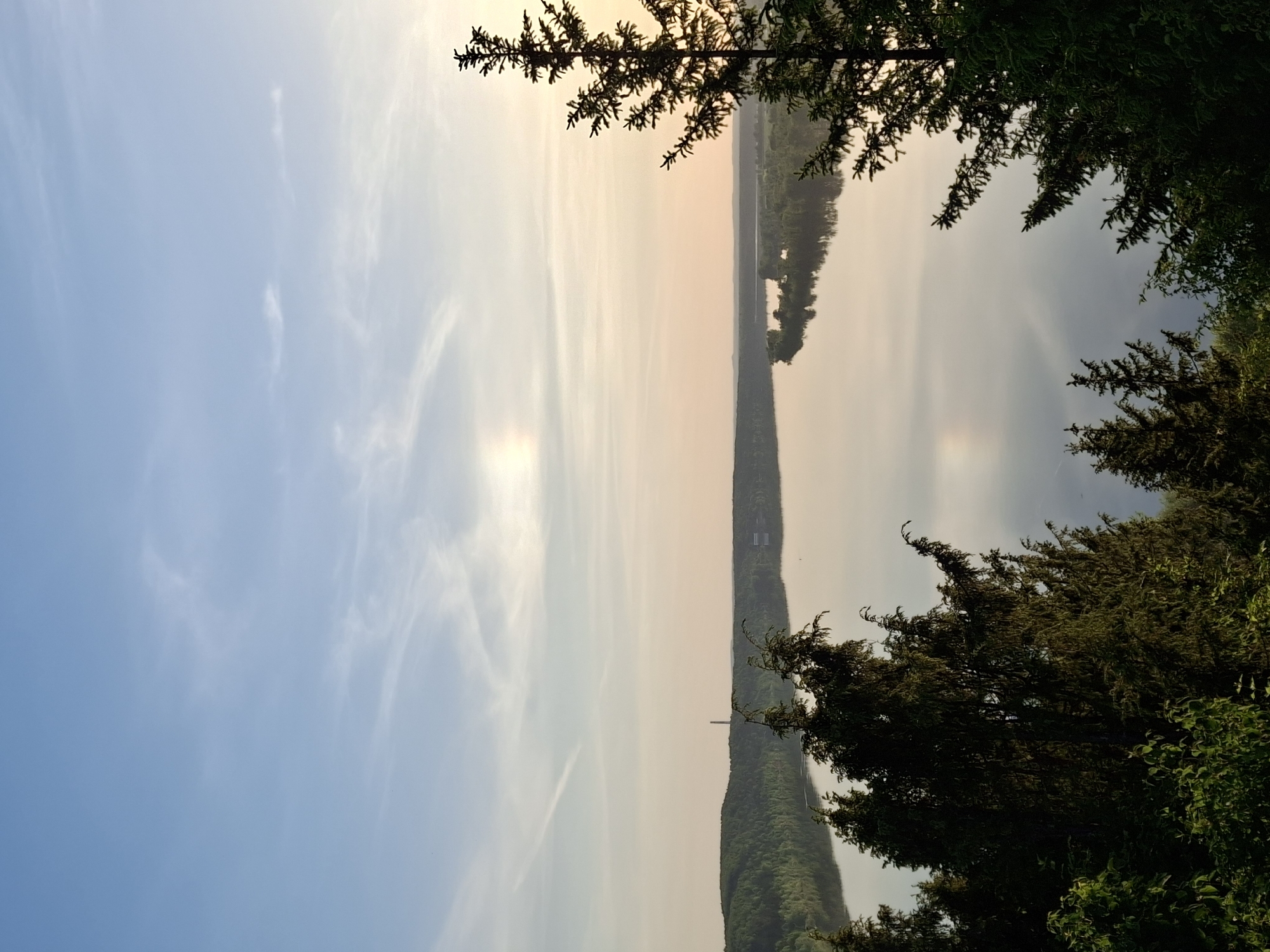 The image depicts a landscape scene in Ольховка, Russia. The sky transitions from light blue on the left to a hazy yellow-orange toward the horizon, suggesting sunrise or sunset. Wispy clouds are scattered across the sky. The horizon line features a body of water reflecting the sky's colors. A strip of land, possibly a peninsula or an island, runs along the water, covered in dense green trees. The foreground is framed by foliage on the right and left, adding depth. The presence of trees and the body of water suggests a natural or semi-natural setting within the city.