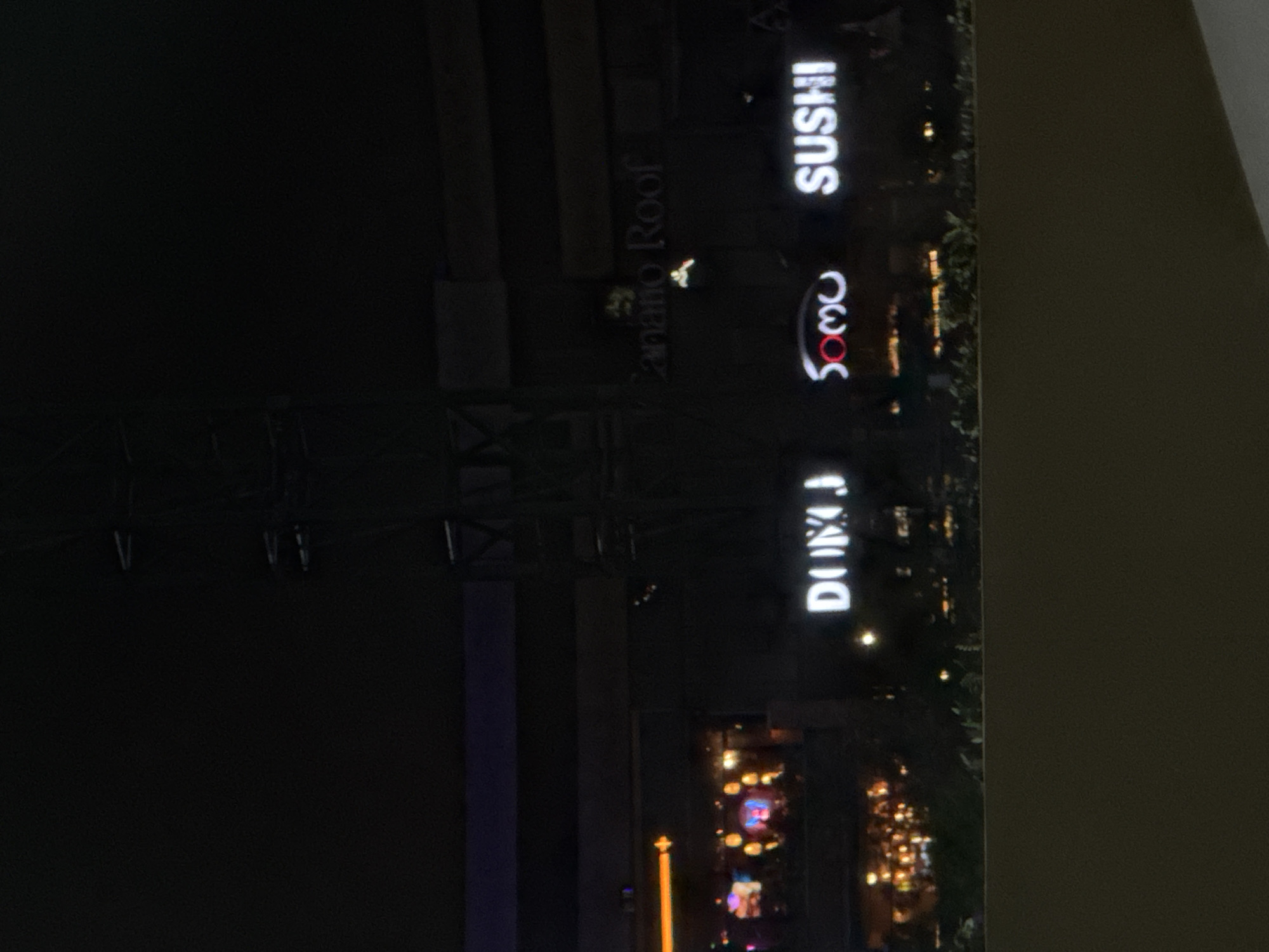 The image shows a night view of commercial signage in what appears to be an urban area, with some light pollution. The words "SUSHI", "Soho", "DUNJ" are prominently displayed vertically. There is also signage for "Zanano Roof" in smaller font, though it is difficult to read. Other lights are scattered across the image and greenery can be seen on the edge. The specific location is Heroica Puebla de Zaragoza, Mexico.
