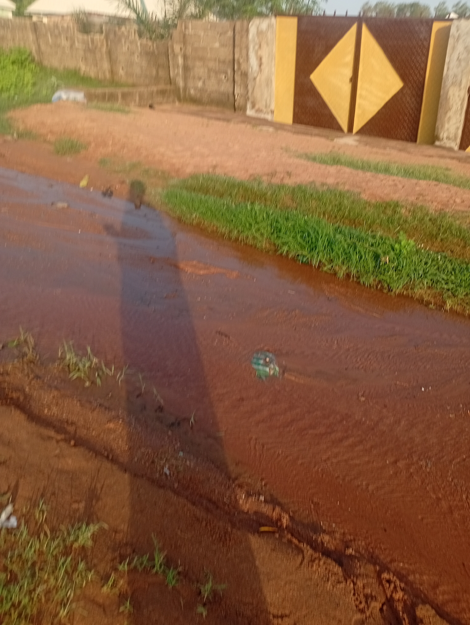 The image captures a muddy water channel flowing through a reddish-brown dirt road. The water is shallow, with visible ripples and reflections, suggesting recent rainfall or a water overflow. Green grass grows along the edges of the channel and on the sides of the road. In the background, a large gate with a diamond pattern in brown and yellow stands against a brick wall. Further back, part of a building with a white roof is visible. The scene appears to be an outdoor environment, likely in a residential or undeveloped area, consistent with parts of Jalingo, Nigeria.