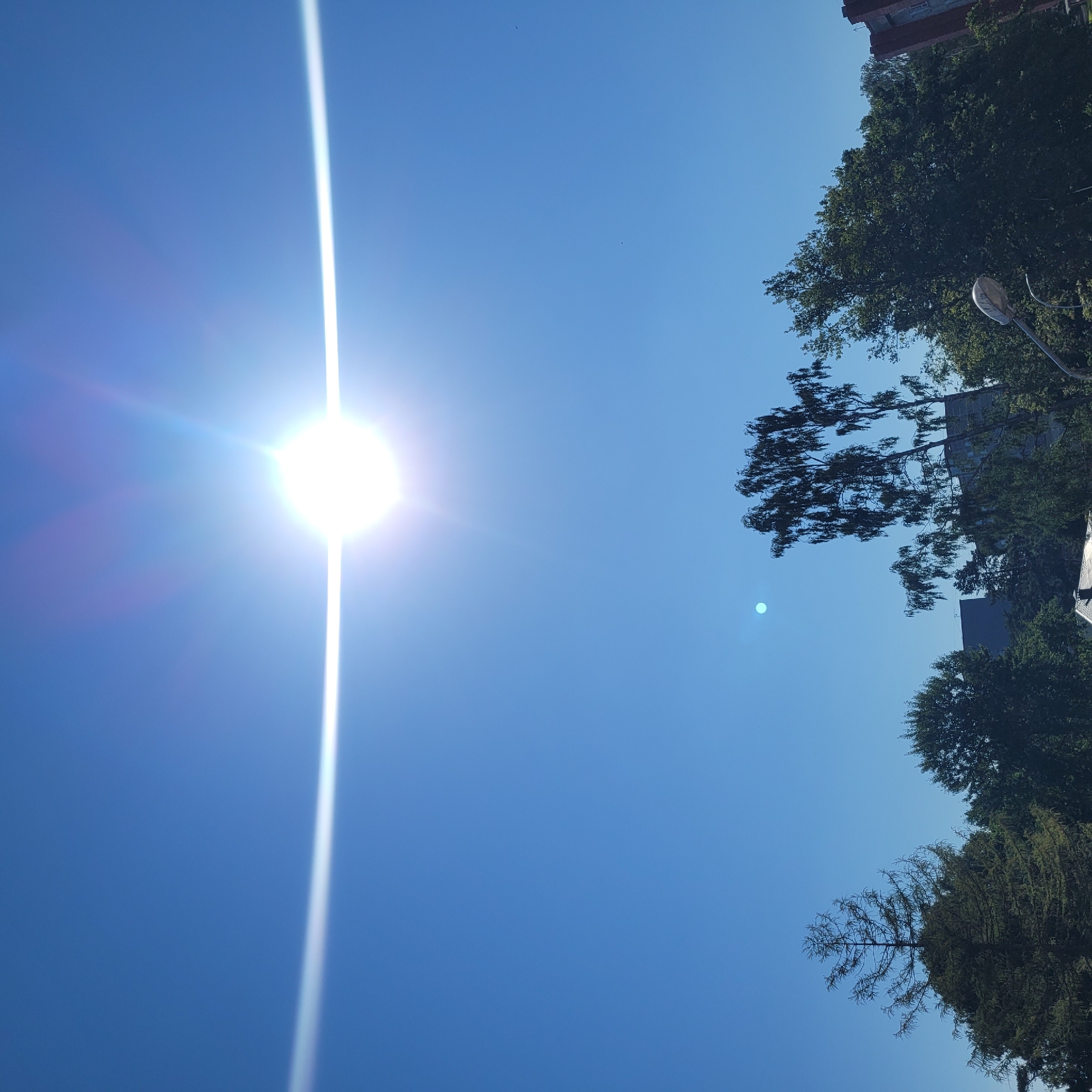 The image captures a bright, sunny day in Jūrmala, Latvia, with a clear blue sky dominating the scene. The sun is prominently displayed, emitting a strong glare and visible lens flare that creates horizontal and diagonal light streaks across the sky. Below the sky, the tops of various trees are visible, some appearing lush green while others show signs of dryness. A few birds are present in the sky as tiny black specks. In the lower portion of the image, a street lamp is partially visible on the right. In the background, parts of buildings, including a reddish-brick structure and darker, more modern buildings, can be seen peeking through the foliage. The overall impression is one of a serene, daylight scene in an urban or suburban setting.