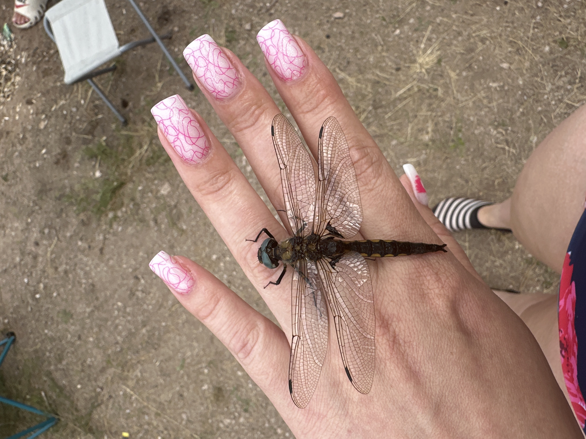 A person's left hand, featuring long, pink-patterned acrylic nails, rests on a gravelly outdoor surface. A large dragonfly with translucent wings is positioned on the palm of the hand. In the background, a portion of a folded gray chair and other indistinct outdoor elements are visible. The scene appears to be outdoors in a possibly rural or park-like setting, possibly in or near the city of Kolodezny, Russia.