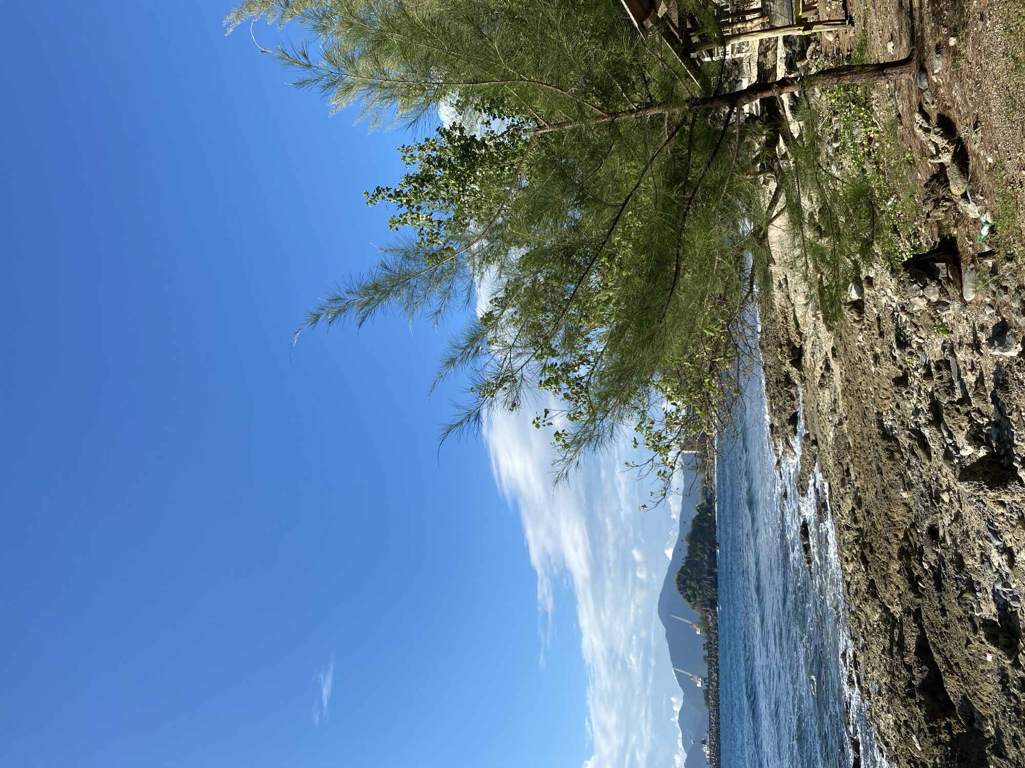 This image depicts a rocky shoreline with the ocean in the background, under a bright blue sky with scattered white clouds. In the foreground, a pine-like tree with sparse needles dominates the right side of the frame, its branches extending across the image. Behind the tree, part of a wooden structure, possibly a shelter or hut, is visible. The shore is covered in a mix of large and small rocks, with some sparse vegetation growing between them. The ocean is a deep blue, with gentle waves breaking on the shore, creating a foamy white edge. In the distance, a rocky island with vegetation rises from the sea, and beyond it, a mountainous landscape is visible. A harbor with cranes and a breakwater can be seen on the left side of the frame. The scene appears to be a natural coastal area with some man-made elements, suggesting it is near a port or settlement. The overall impression is of a sunny day at a tropical or subtropical coastal location. The image does not contain any people or visible actions.