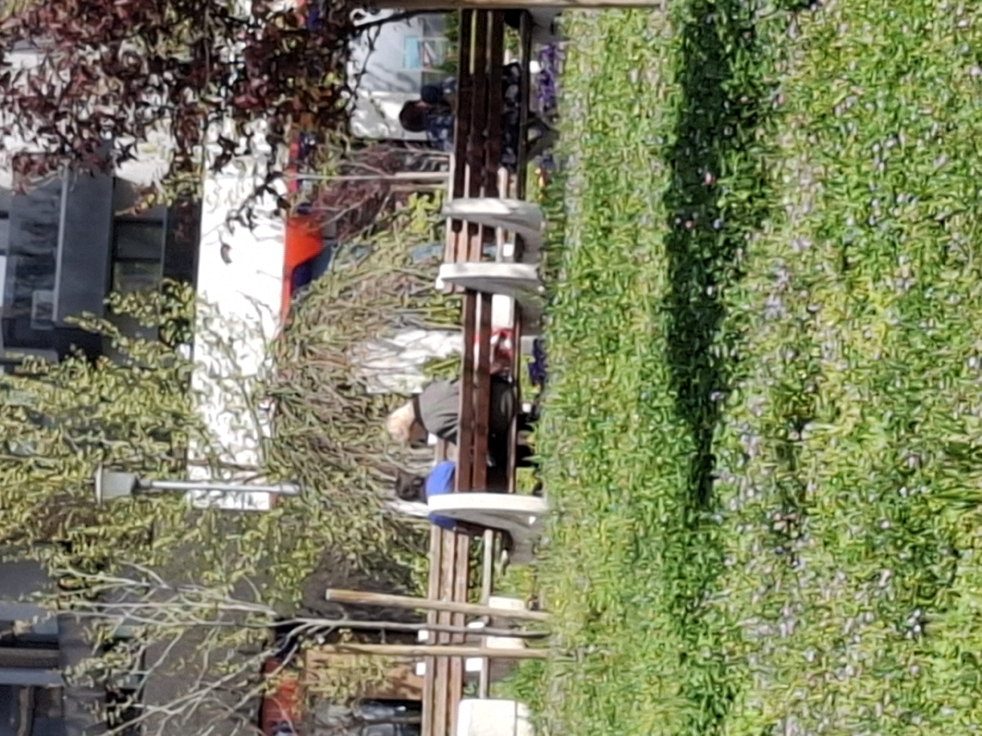 This image captures an outdoor scene, likely an urban park or public green space, on a bright, sunny day. The overall impression is one of leisure and tranquility.
The setting is characterized by abundant vegetation and modern urban elements. On the right side, a vibrant expanse of green grass is visible, dotted with small purple and white flowers. To the left, several trees with both lush green and reddish-brown leaves provide shade and visual depth. Bushes and other shrubbery are also interspersed throughout the scene.
A series of wooden benches, possibly forming a seating area or part of a walkway, are central to the composition. These benches feature metallic accents, such as armrests or dividers. Several individuals are seated on these benches, engaged in relaxed activities. One prominent figure with light-colored hair is wearing a grey top and dark trousers, seated with their back partially turned. Another person is visible in blue clothing, near a white, rounded surface that could be a small table or an extension of the bench structure. Other figures are less distinct but appear to be casually seated.
In the background, modern buildings with dark facades and windows are visible, suggesting a contemporary urban environment. A white and red object, possibly a vehicle or part of a building's design, is also present behind the trees. A grey lamp post or light fixture can be seen on the left amidst the foliage.
The bright lighting indicates daytime, likely a clear morning or afternoon. The flourishing greenery suggests the season is spring or early summer. The scene portrays a casual gathering of people enjoying the pleasant outdoor environment in what is identified as Plovdiv, Bulgaria. No visible text can be discerned in the image.