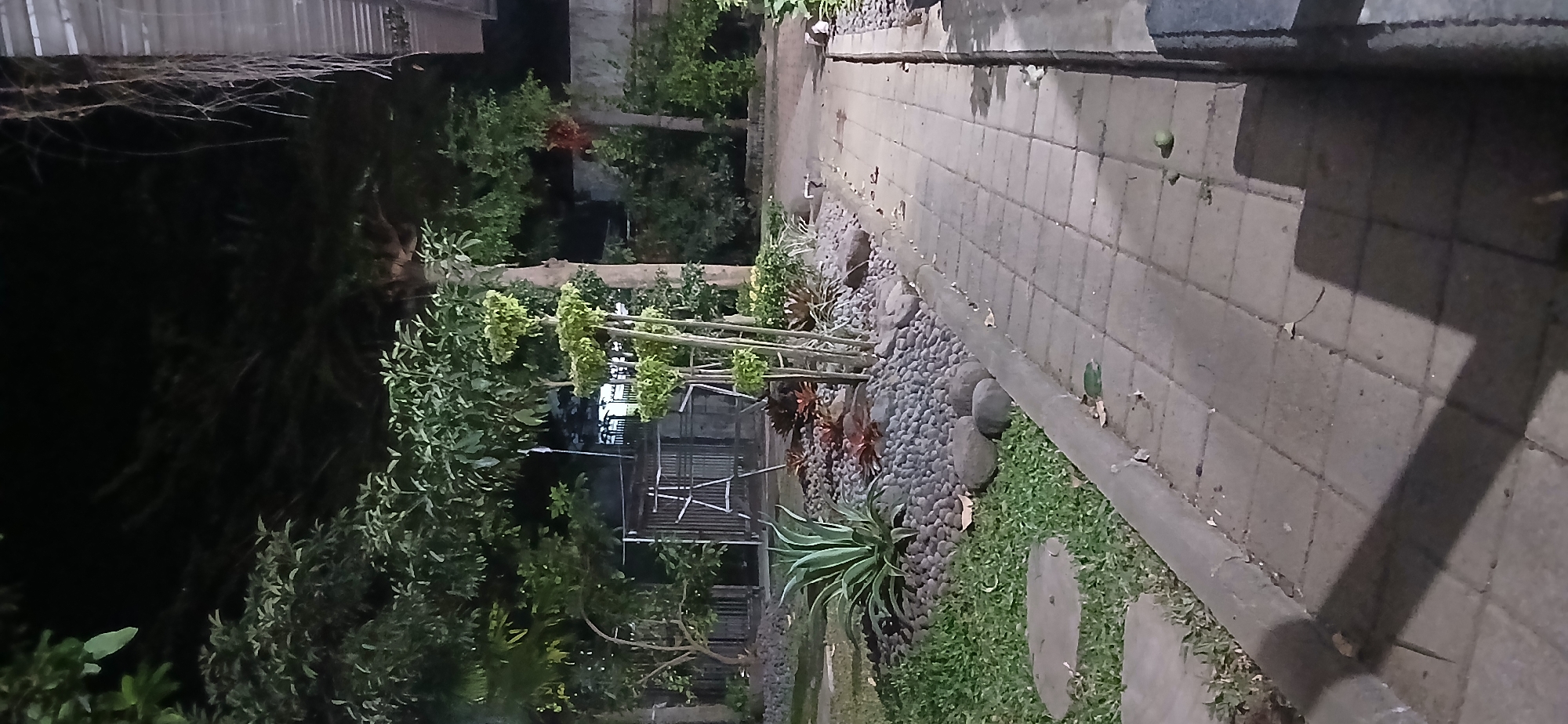 The image depicts a nighttime scene in Sekarputih, Indonesia, featuring a paved walkway alongside a garden area. The walkway is constructed from light-colored square tiles and is bordered by a concrete curb. The garden area contains various plants, including a large agave plant, ornamental plants with reddish leaves, and smaller green bushes. The ground within the garden bed is covered with rounded grey stones. Beyond the garden, there is a fence and some trees with dense foliage. The lighting suggests it is nighttime, with artificial light casting shadows. The overall impression is one of a well-maintained outdoor space at night.
