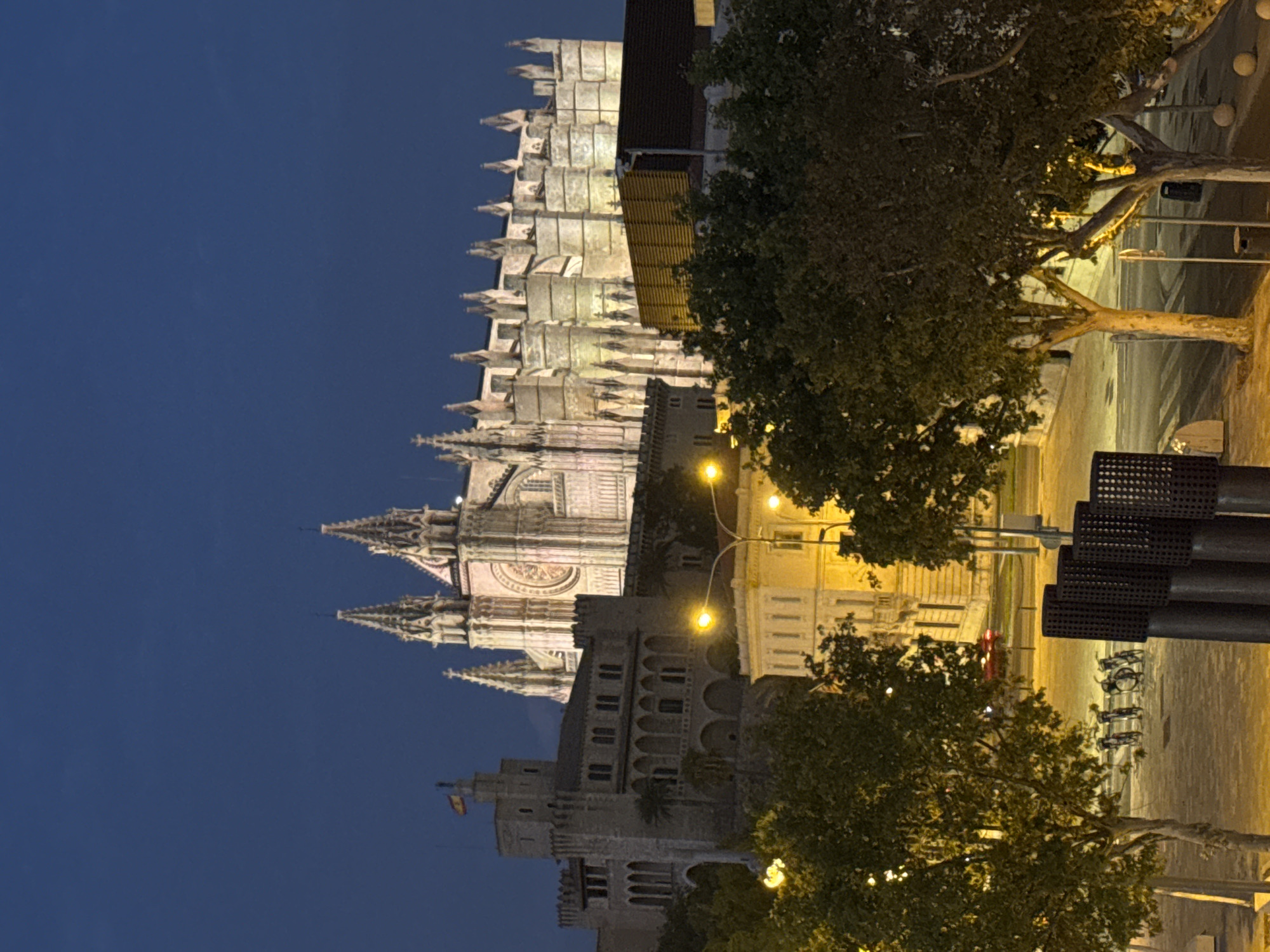 This is an eye-level, medium shot of the Palma Cathedral (La Seu) in Palma, Spain, at dusk. The cathedral is illuminated and features Gothic architecture with spires and large windows. To the left of the cathedral is the Almudaina Palace, a royal residence, also lit and appearing to be made of stone. Trees with dark green foliage are in the foreground, some with yellow streetlights illuminating them and the surrounding area. In the middle ground, there are several white buildings and more trees. A street is visible with streetlights casting yellow light, and a line of bicycles is parked on the sidewalk. A few red taillights are visible in the distance on the street, suggesting moving vehicles. The sky is a deep blue, indicating the transition from day to night.