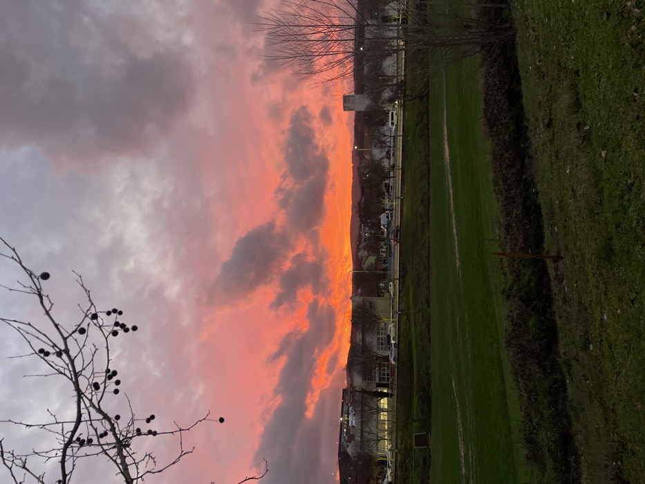 A breathtaking sunset illuminates the sky with vibrant orange and pink hues, contrasting with dark grey clouds. Buildings and streetlights line a road along a field of lush green grass. A barren tree with dangling berries stands silhouetted in the foreground, adding depth to the composition. The image captures a serene moment of urban nature meeting twilight.