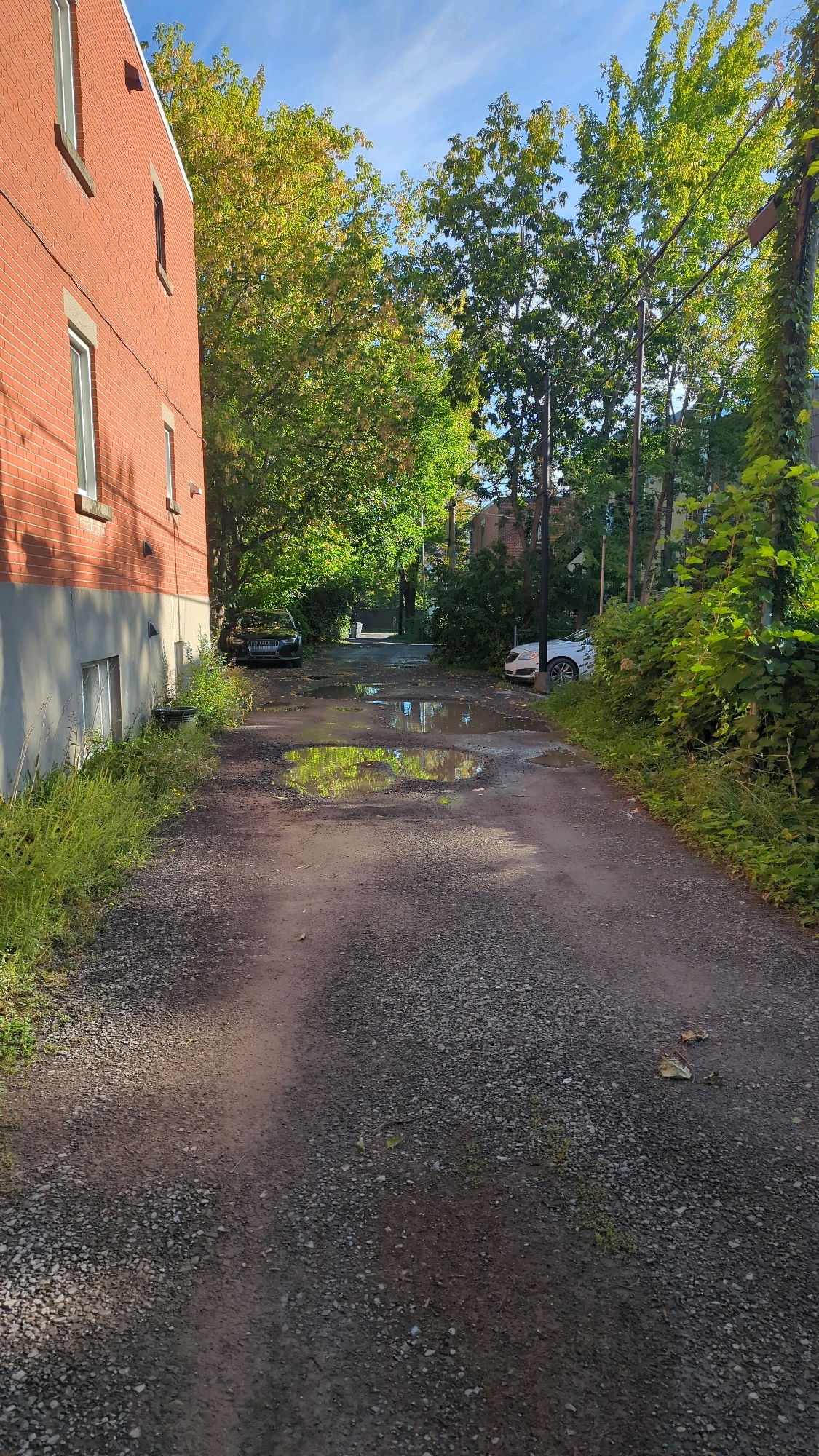 A back alley in Montreal, Canada, features a gravel surface with several puddles reflecting the sky and surrounding greenery. The alley is bordered on the left by a red brick building with a grey foundation and multiple windows, and on the right by lush green vegetation and trees. Two cars are parked in the alley; a dark-colored SUV is visible on the left, and a white car is parked further down on the right. The scene is illuminated by sunlight, casting shadows across the ground, and the trees show signs of early autumn foliage with some yellowing leaves. The sky above is blue with wispy clouds.