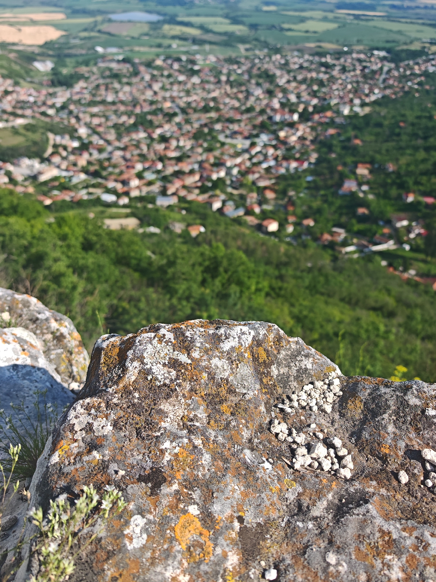 The image presents a high-angle, outdoor view overlooking the city of Shumen, Bulgaria, from a rocky vantage point. In the immediate foreground, weathered rock formations are visible, heavily textured with patches of white, grey, and vibrant orange-yellow lichens. Clusters of small, light-colored pebbles are scattered and piled on the surface of the prominent rock in the lower right. Sparse, delicate green vegetation with tiny white flowers grows in the crevices and along the edges of the rocks.
Beyond the foreground, the landscape descends into a lush, green expanse of dense trees and foliage, forming a natural slope. In the mid-distance, the urban area of Shumen spreads out, characterized by a multitude of houses with predominantly reddish-brown tiled roofs, compactly arranged across the terrain. The cityscape extends towards the horizon, framed by the surrounding natural environment.
In the distant background, the land flattens to reveal a mosaic of agricultural fields, displaying varying shades of green and golden-brown. A small, calm body of water, likely a lake or reservoir, is discernible amidst these fields in the upper left background. The sky above is bright and clear, suggesting daylight conditions. No people or specific actions are visible within the frame.