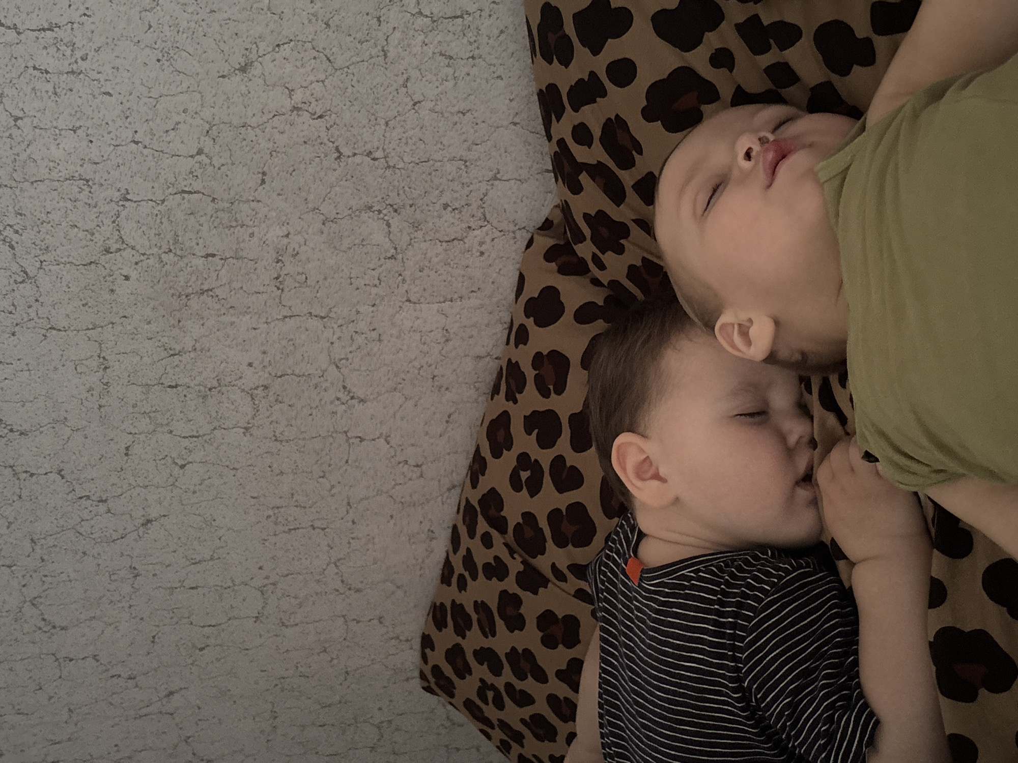 Two young children are captured sleeping peacefully on a leopard print pillow, set against a textured grey background. The image is taken from an overhead perspective, looking down at the subjects.
The child in the upper part of the frame is wearing a light green short-sleeved shirt and is lying on their right side, facing right. Their eyes are closed, and their mouth is slightly ajar. The child below them is wearing a black and white striped short-sleeved shirt with a small orange detail on the left shoulder. This child is also lying on their right side, facing right, with their eyes closed and their face gently pressed against the other child. Both children appear to be toddlers or infants.
The leopard print pillow they are resting on features brown and black spots on a tan background, occupying the right side of the frame. To the left, a rough, textured grey surface, possibly a wall or a specialized bed covering, fills the remaining space. This surface has an appearance of fine cracks or a distressed finish.
The scene conveys a sense of calm and repose, suggesting a nap or sleep time. There are no overt clues to the exact time of day, but the lighting suggests an indoor setting. No visible text is present in the image. The location context provided for this media is Фоки, Russia.