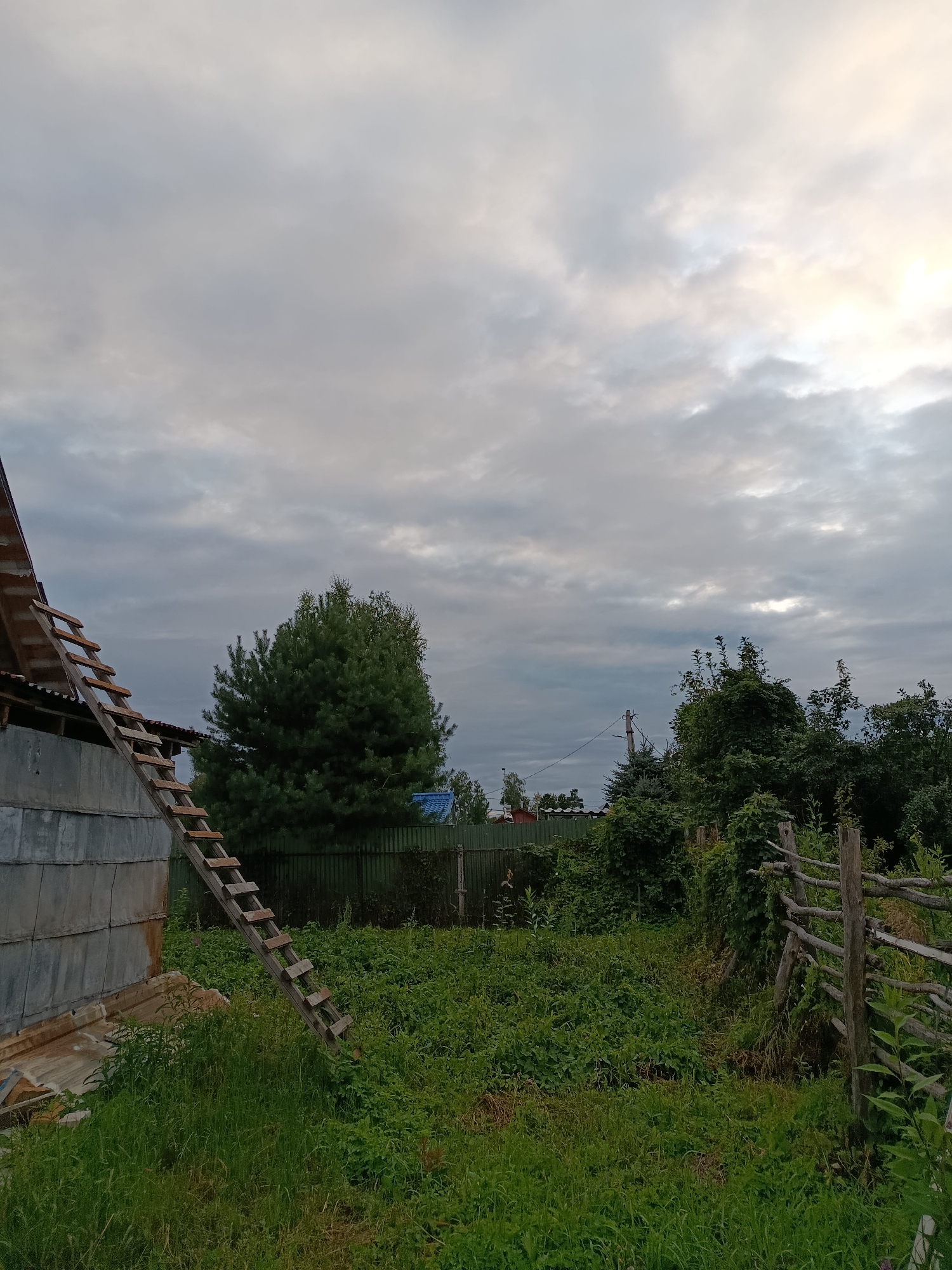 This is a medium shot, outdoor, eye-level, still photograph of a rural yard in Vereya, Russia, under an overcast sky with patches of sunlight. In the foreground, a tall, wooden ladder leans against a grey, corrugated metal structure on the left. The yard is overgrown with lush green vegetation, including tall grasses and various plants. To the right, a rustic wooden fence is visible, constructed from rough-hewn logs and branches. In the midground, a large, dense green pine tree stands prominently behind a dark green metal fence. Beyond the trees and fence, the sky is filled with textured grey and white clouds, with brighter patches suggesting sunlight filtering through. The overall scene depicts a slightly unkempt, natural setting typical of a Russian dacha or village property.