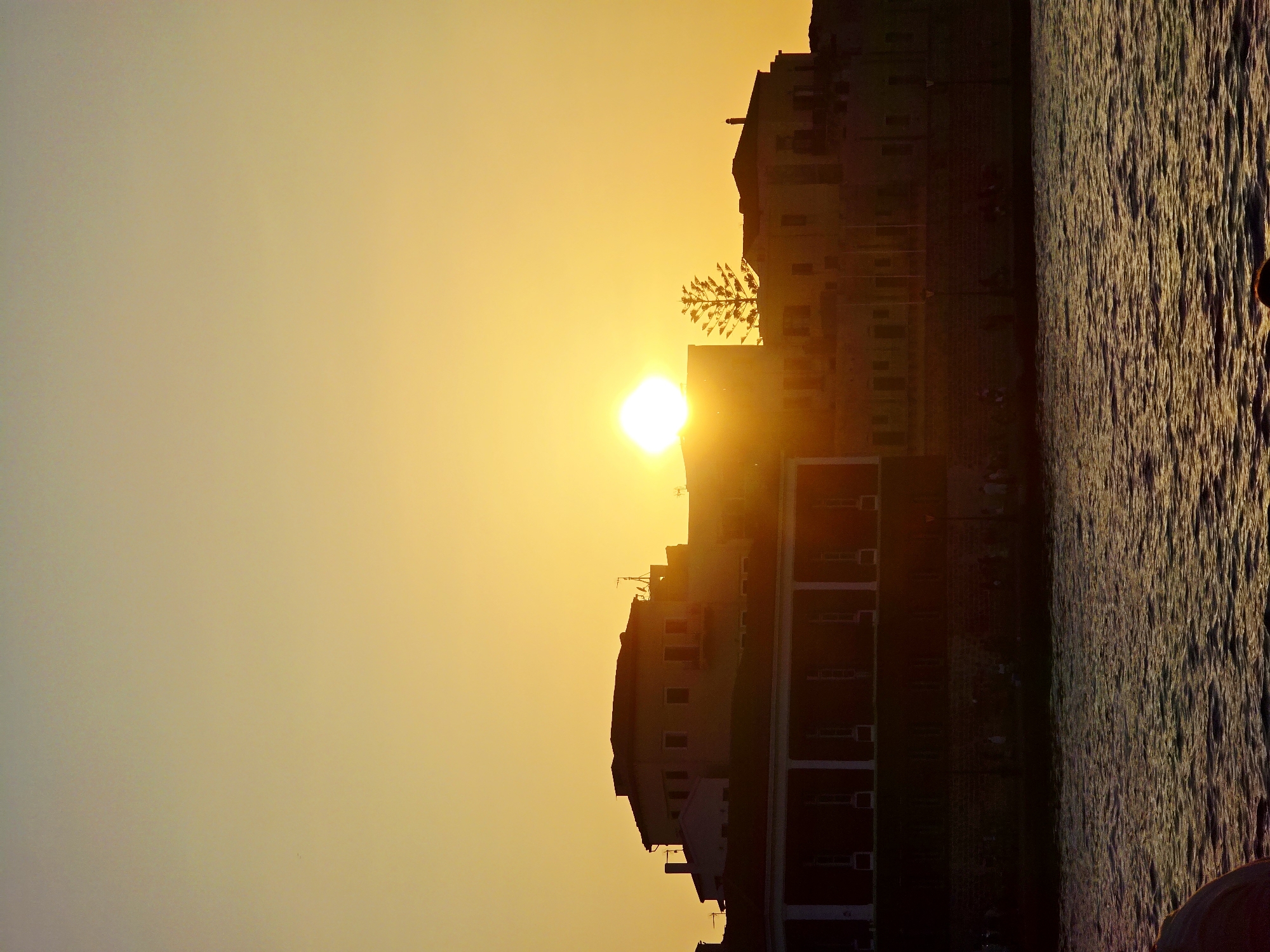 The image captures a sunset over the Venetian harbor in Chania, Crete, Greece. The sky is a gradient of soft yellows and oranges, with the bright, blinding disc of the sun positioned slightly to the left of center. Silhouetted against the sunset are the historic buildings of the harbor, including structures with red-tiled roofs, arched windows, and a distinct building with a colonnade along its lower level. A tall, slender tree, possibly a cypress, stands out as a dark silhouette to the right of the sun. In the foreground, the dark, rippling surface of the sea reflects the warm tones of the sky. Along the harbor wall, indistinct figures of people can be seen walking, adding a sense of scale and life to the scene. The overall atmosphere is one of serene twilight.