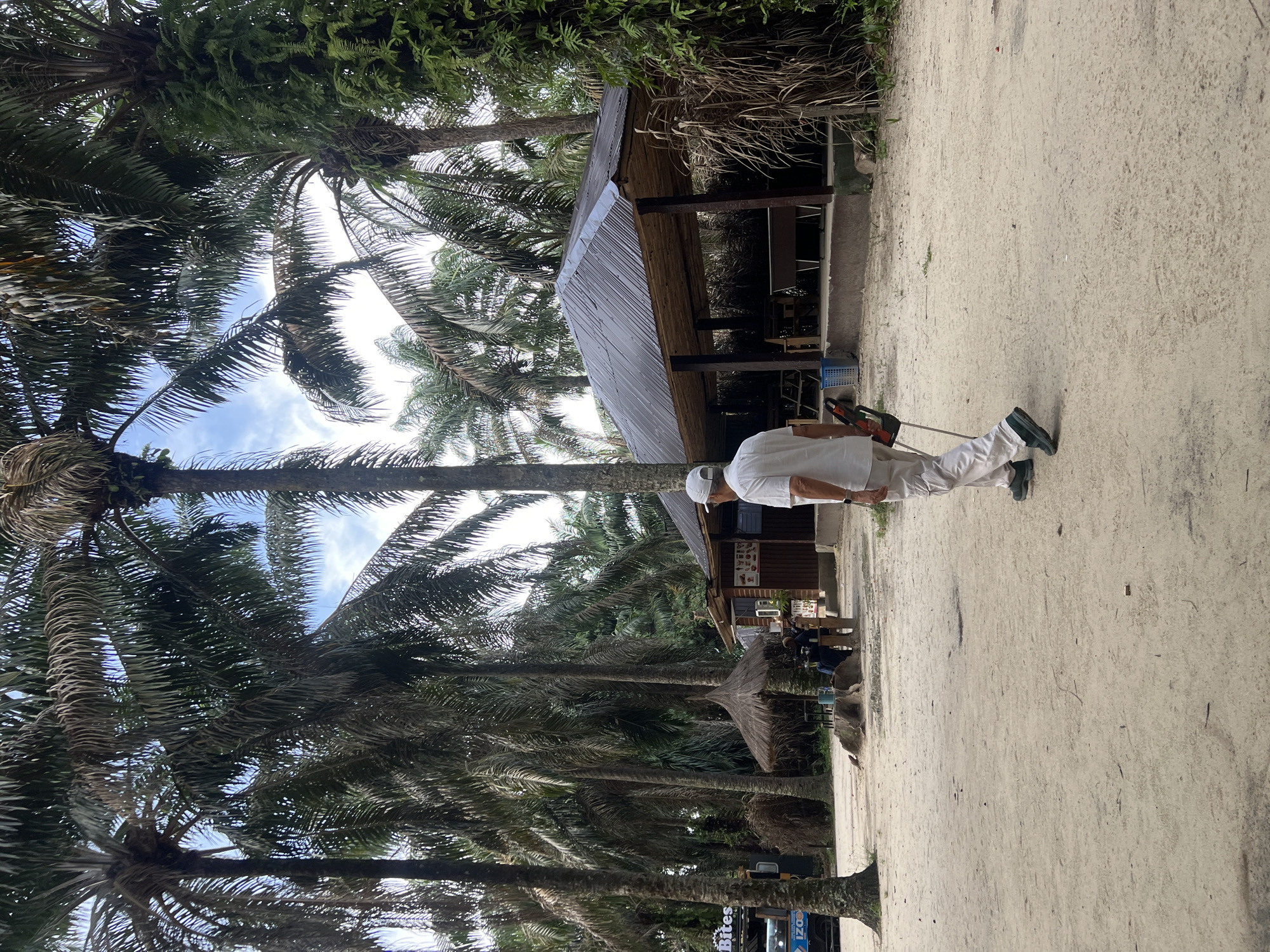The image shows an outdoor scene in Sangotedo, Nigeria, featuring a person holding a long-handled tool (possibly a lawn trimmer) near a sandy area. The person is wearing white clothing and a cap. Behind them is a wooden structure with a corrugated metal roof, possibly a small shop or shelter. The background is filled with tall palm trees, creating a tropical environment. In the lower part of the image, a glimpse of a vehicle with signage (“Bites”) can be seen.