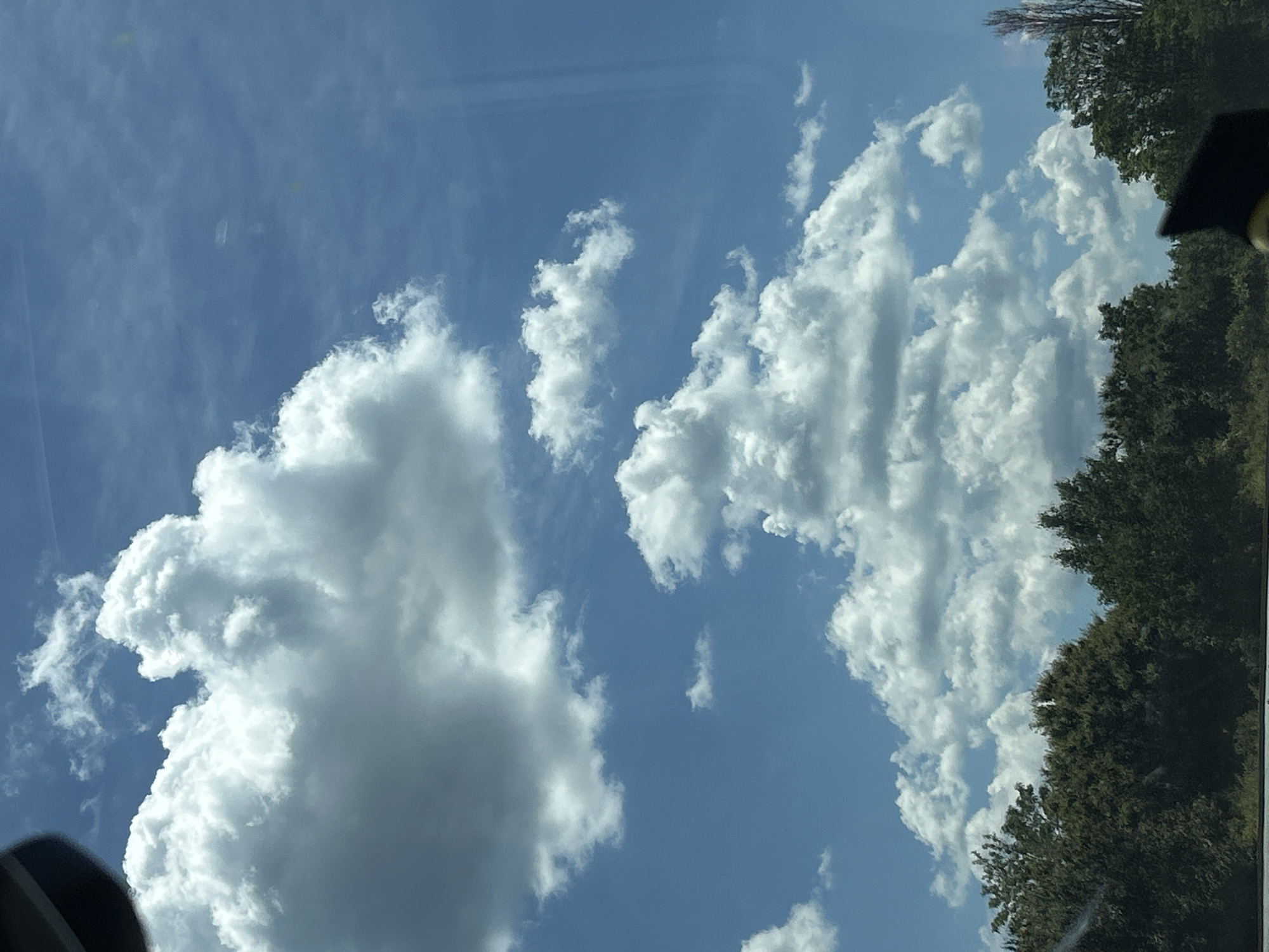 The image shows a clear blue sky with fluffy white cumulus clouds. In the foreground, a dense line of green trees forms the lower boundary of the frame. The trees appear to be deciduous and are lush with foliage. Part of a black object, possibly a graduation cap, is visible in the bottom right corner of the image. The scene suggests an outdoor setting, likely in a natural environment, given the presence of trees and the expansive sky. The location is Verinsko, Bulgaria.
