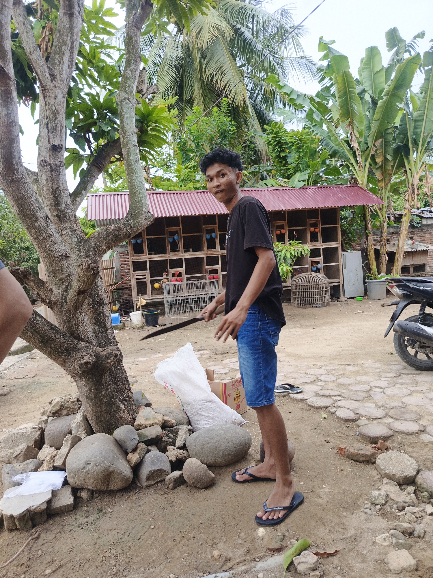 Memory