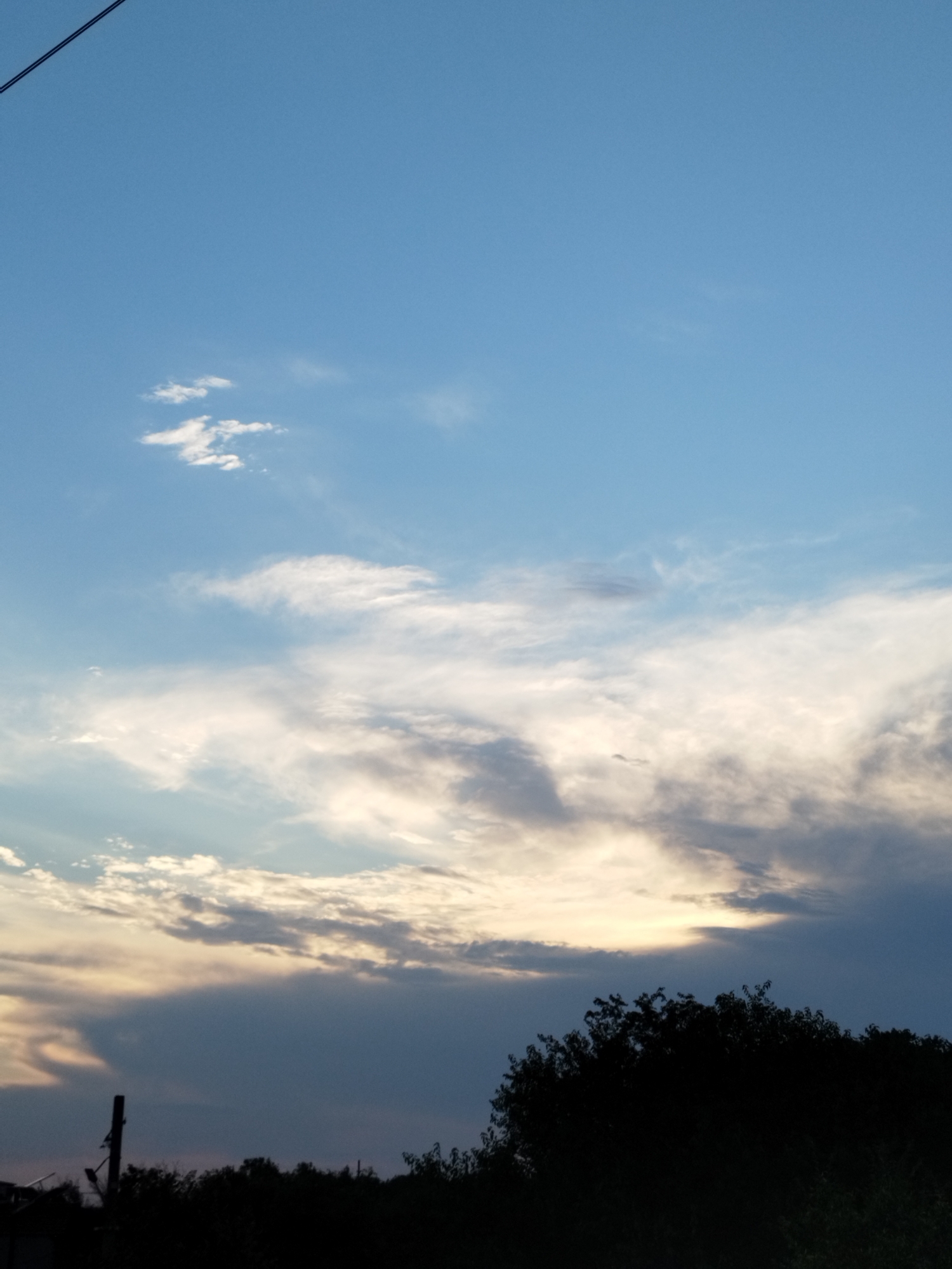 A vertical, full-frame shot captures a twilight sky over a silhouetted landscape in Bucharest, Romania. The sky transitions from a pale blue at the top to darker hues of gray and blue near the horizon, punctuated by wispy white clouds reflecting the fading sunlight. In the foreground, the dark silhouette of trees and foliage stretches across the bottom of the frame, obscuring the ground. A thin black wire extends diagonally from the upper left corner. A single, dark, vertical post, possibly part of a utility pole, is visible on the left side of the frame. The overall impression is one of a tranquil evening in an outdoor setting.