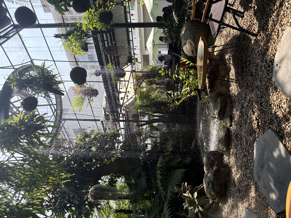 This image depicts a lush, semi-enclosed tropical garden cafe located at Wonderlust Garden & Coffee, 190 Trần Phú, Phước Ninh, Hải Châu, Đà Nẵng, Vietnam.
The scene features a high glass ceiling and walls supported by a black metal framework, allowing ample natural light. A prominent artificial waterfall or rain curtain descends from the ceiling into a central, shallow koi pond visible in the mid-ground, creating a mist and splashing effect. The pond contains visible orange-colored fish and is bordered by large, smooth, dark grey rocks. The ground throughout the cafe area is covered with light-colored gravel, interspersed with larger, irregular grey stepping stones.
Abundant tropical vegetation fills the space, including large trees with dense green foliage, various ferns, bromeliads, and spherical hanging plants (kokedama style) suspended from the ceiling and structural beams.
In the mid-ground, a low, circular coffee table with a natural wood top and thin black metal legs stands on the gravel. To its right, a dark, collapsible outdoor chair is partially visible. Further in the background, under an open-air section of the cafe, several patrons are seated at tables shaded by large white outdoor umbrellas. Individuals are engaged in leisure; one person in a white shirt and dark hat is clearly visible. Red lanterns are strung across the background structure, adding a decorative element. Beyond the cafe's glass structure, taller urban buildings are visible against a bright sky.