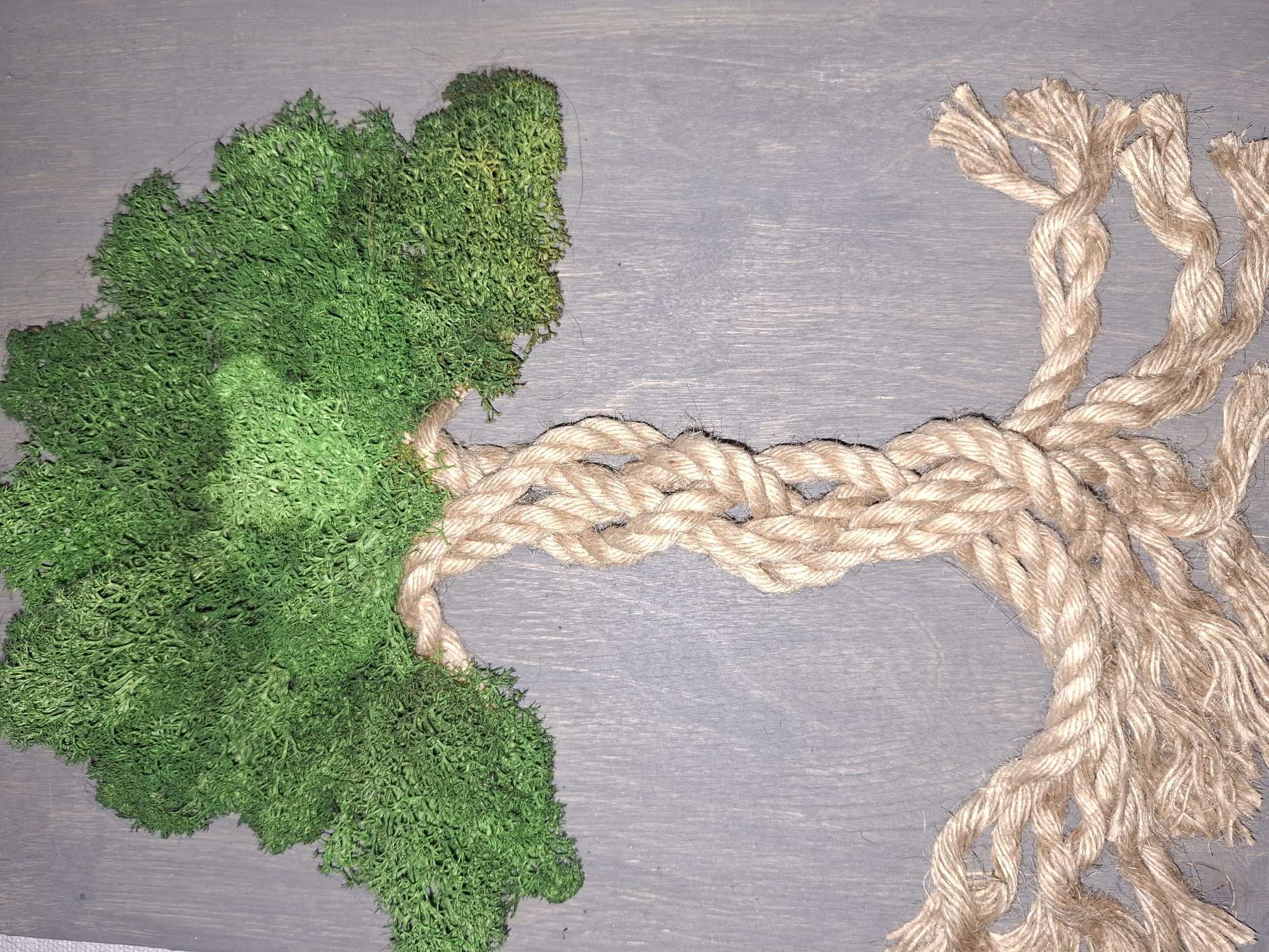 A close-up, top-down shot shows an artistic rendering of a tree crafted from different materials on a gray, wooden surface. The left side of the tree is composed of vibrant green moss, densely packed to resemble the foliage of a tree. The trunk is made of light brown rope. This rope extends to the right, forming the branches of the tree. The ends of these rope branches are frayed and loose. The trunk, formed by a tightly woven part of the rope, connects the two halves. The gray surface on which this art piece is placed has a visible wood grain pattern. There is no indication of the location being Chaikovsky, Russia within the image.