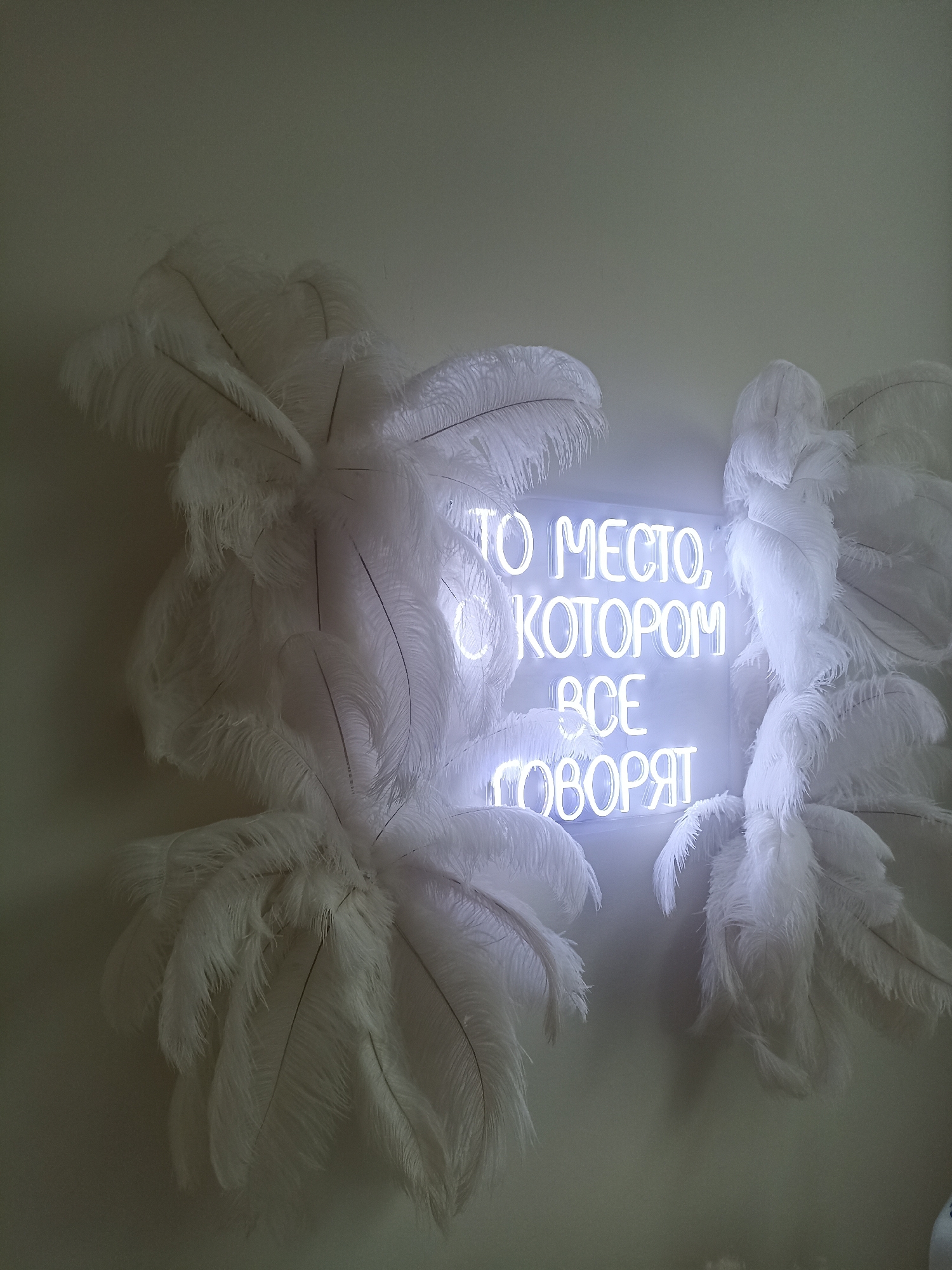The image depicts a neon sign that reads "ЭТО МЕСТО, О КОТОРОМ ВСЕ ГОВОРЯТ" (This is the place everyone is talking about) in white neon tubing. The sign is illuminated and emits a blueish glow. It is flanked on both sides by large, fluffy white ostrich feathers, arranged in fan-like clusters, creating a dramatic and opulent aesthetic. The background is a plain, light-colored wall. The lighting is dim, with the neon sign being the primary light source. There are no people visible in the image. This image was captured in Shushary, Russia.