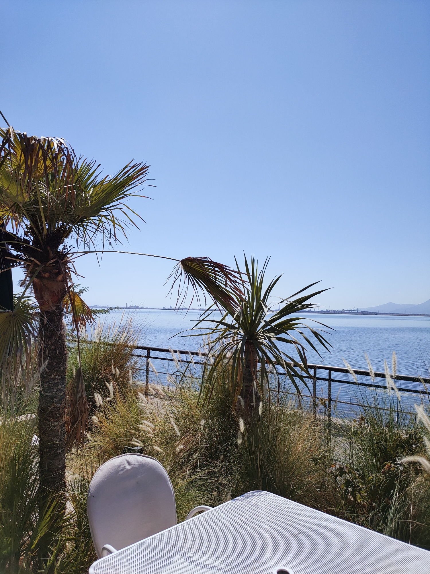 The image captures a serene outdoor setting with a table and chair positioned in the foreground, facing a body of water. Two palm trees frame the view, with lush green foliage and tall, dry grasses surrounding them. In the distance, the expansive blue water stretches towards the horizon, where industrial structures and mountains are faintly visible under a clear blue sky. The scene evokes a sense of tranquility and natural beauty, possibly from a coastal area within or near Tunis, Tunisia, given the presence of palm trees and the industrial skyline often seen in such locations.