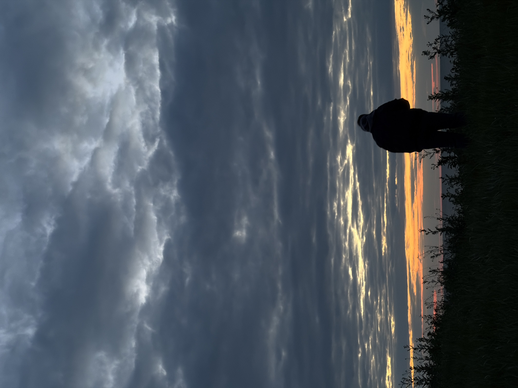 The image shows a landscape at dusk or dawn. A person is silhouetted against the horizon, standing on a grassy area with vegetation. The sky is dramatic, featuring dark, heavy clouds on the left, transitioning to stripes of orange and grey near the horizon, suggesting a sunrise or sunset. The location is unclear, but it is specified as the city of Port-Katon, Russia. The interaction of the person is not discernible from the photo.