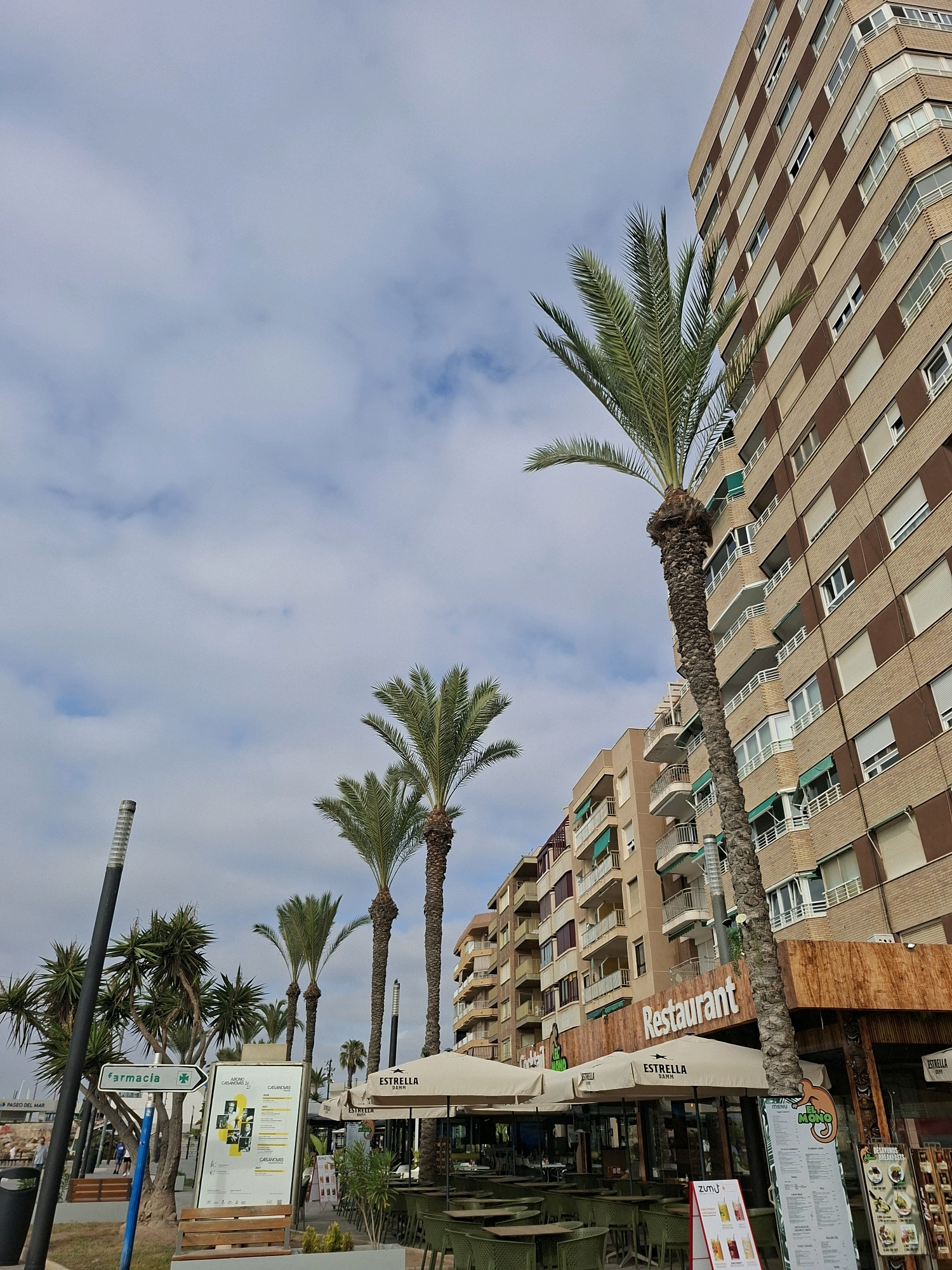 The image depicts a street view in Torrevieja, Spain, featuring a row of buildings and palm trees. The main building on the right is a multi-story apartment complex with a brown and beige facade, featuring numerous balconies with white railings. In front of the apartment building, there is a restaurant with outdoor seating. The restaurant has a wooden facade and several white umbrellas providing shade over tables and green chairs. A prominent sign above the restaurant entrance reads "Restaurant". Other signs visible include one for "Estrella Damm" beer and another for a place called "El Mono". To the left of the restaurant, a sign points towards "Farmacia" (pharmacy). Several palm trees are planted along the street, some of which are quite tall and lean towards the buildings. The sky is partly cloudy. The scene appears to be a public area, possibly a promenade or street near the coast, given the presence of palm trees and the sign pointing to "Paseo del Mar". There are no people clearly visible engaged in any specific action, though the presence of tables and chairs suggests a public space used for dining or leisure.