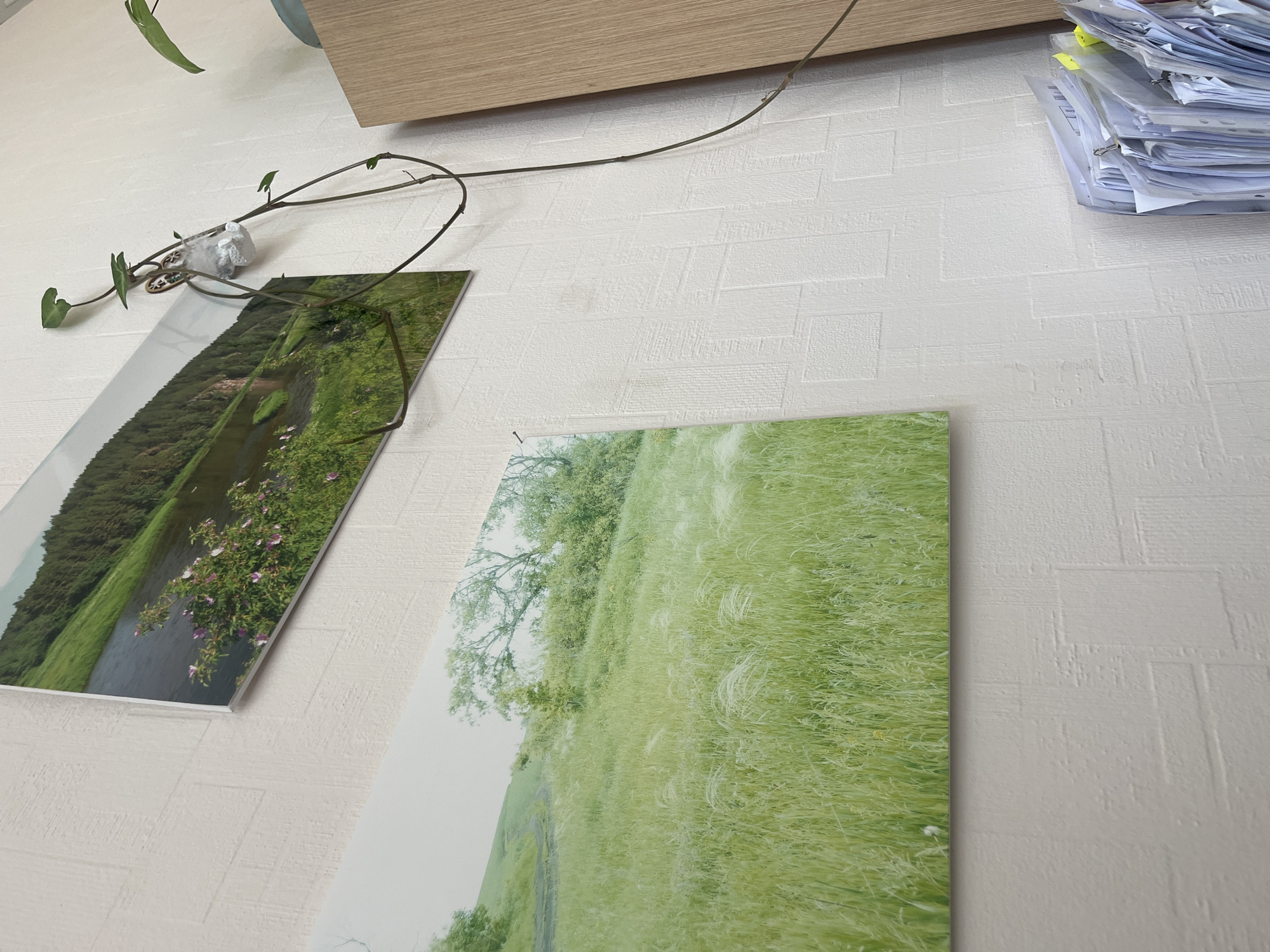 The scene shows a section of a wall with two nature-themed photographs hanging on it. The wall is textured with a subtle brick-like pattern. The top left photo appears to show a river or waterway surrounded by dense green vegetation and trees, possibly taken from a high vantage point. The bottom right photo depicts a grassy field with some trees in the distance. A thin vine-like plant stretches across the upper portion of the wall, near the top left corner of the image. A stack of papers, some with yellow sticky notes, sits in the upper right corner. A wooden surface is visible at the top. The setting appears to be indoors, but there is no evidence indicating this image was taken in Yekaterinburg, Russia.
