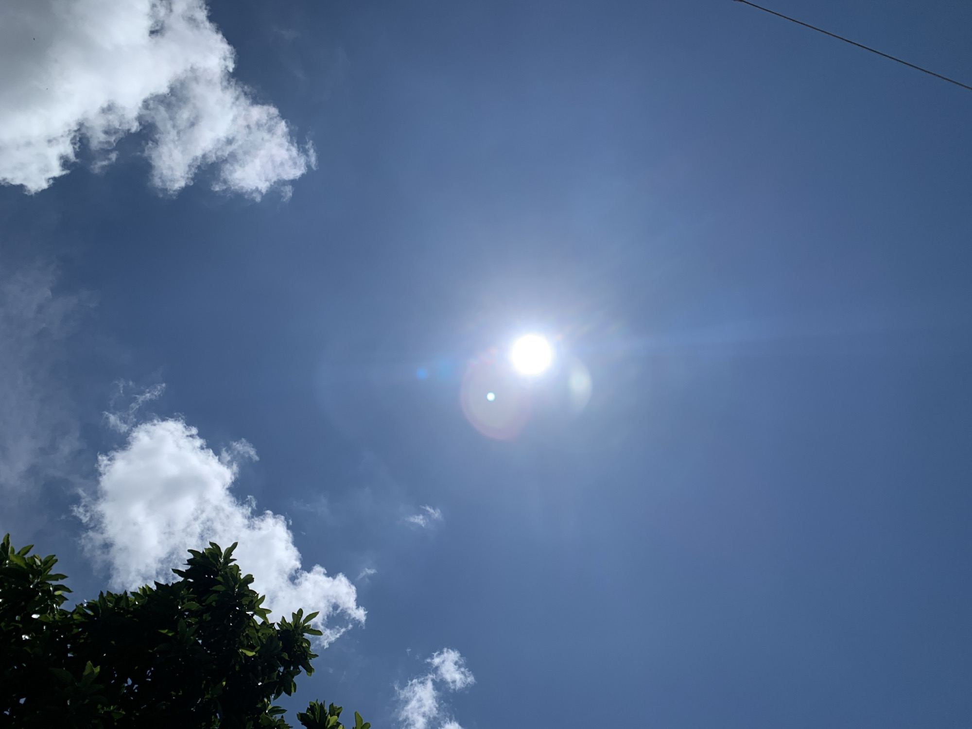 An upward-facing shot of a bright, clear blue sky in Kuru Karama, Nigeria, is dominated by the sun, which is positioned slightly off-center to the right. The sun is a brilliant white orb with visible lens flare and light rays radiating outwards. Fluffy white clouds are scattered across the sky, with larger formations in the upper left and upper right quadrants. The left side of the frame features the dark green leaves and branches of a tree, framing the upper left corner. A thin, dark utility wire stretches diagonally across the lower right portion of the image. No people or animals are visible.