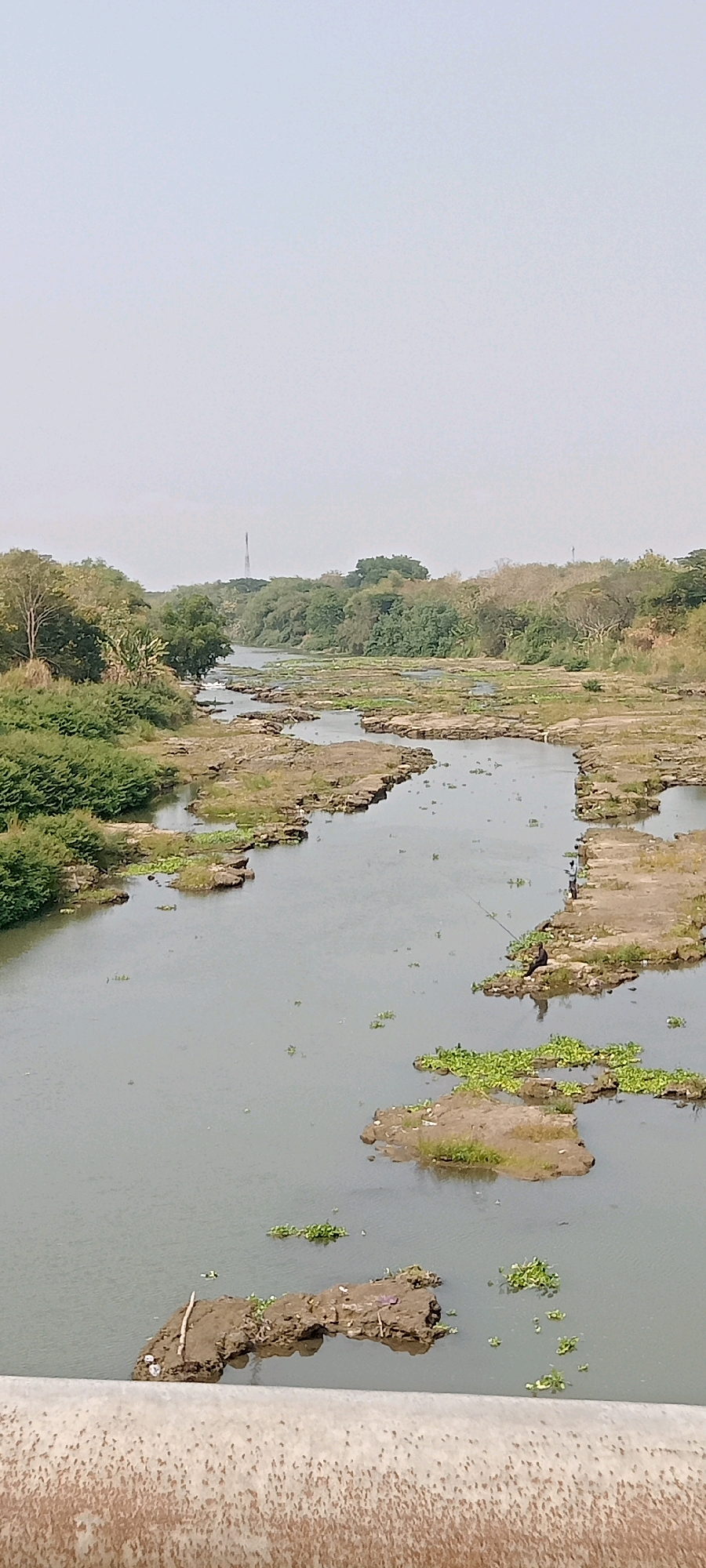 The image shows a view of a wide, slow-moving river with numerous rocky outcrops and small islands scattered throughout its width. The riverbanks are lined with dense green vegetation, including trees and bushes. In the distance, a tall communication tower is visible rising above the treeline. There are at least two individuals present in the scene. One person is sitting on a rocky island in the middle of the river, holding a fishing rod. Another person is standing on a rocky outcrop further upstream. The water appears murky, with some patches of green aquatic plants floating on the surface. The sky is overcast and light. In the foreground, the top edge of a concrete structure, possibly a bridge or a dam, is visible, with a textured, weathered surface.
