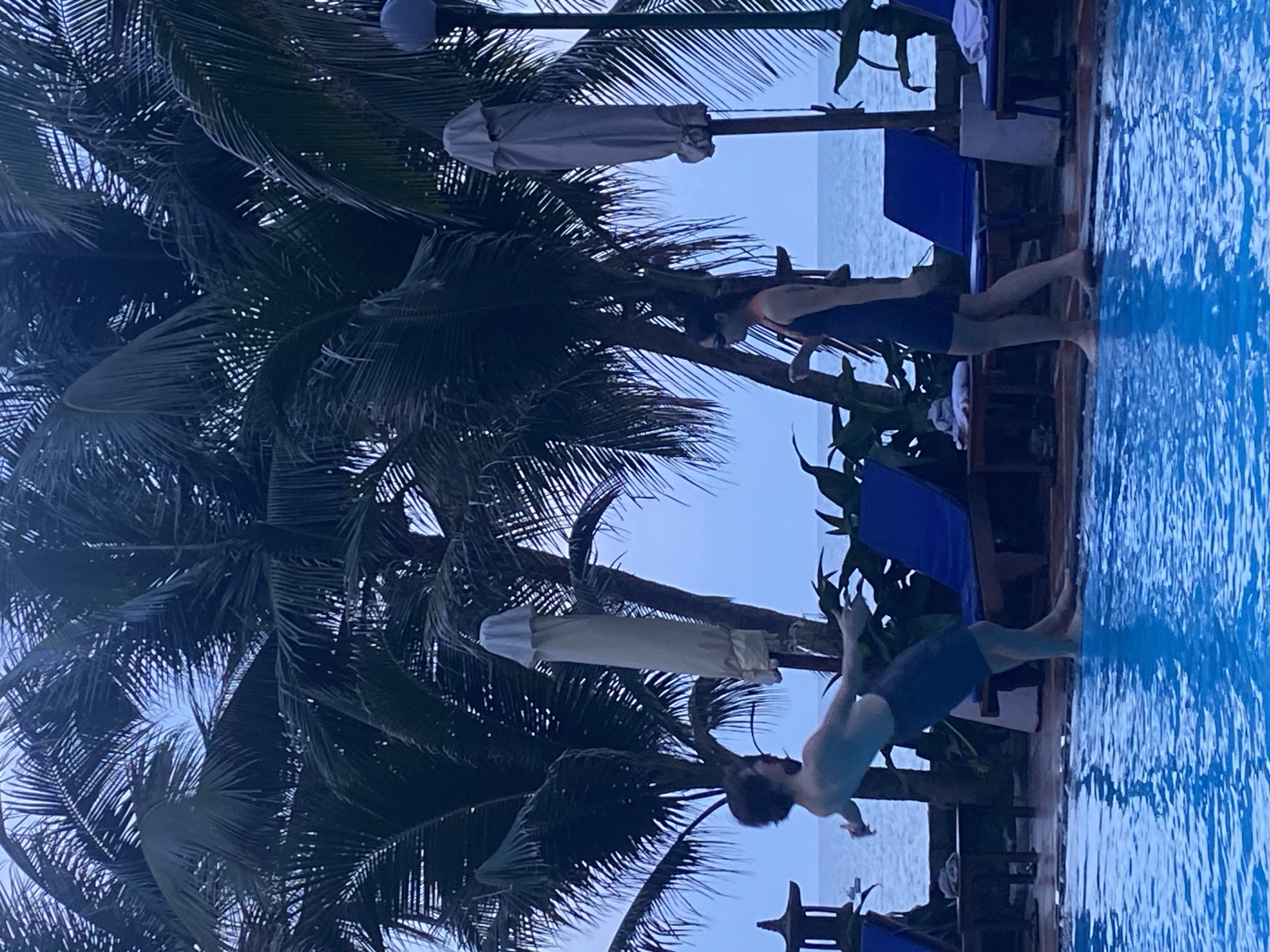 This media file captures a moment of leisure at a poolside, likely in Phu Thuy Ward, Vietnam. The scene is dominated by lush palm trees, their fronds creating a natural canopy against a serene, overcast sky. In the foreground, the vibrant blue water of a swimming pool reflects the muted light, suggesting it's either early morning or late evening.
The primary subjects are two individuals. One, appearing to be a woman, is partially visible, seated or leaning against a palm tree trunk, wearing a dark swimsuit. The other, a younger person, is mid-air, captured in the act of jumping into the pool from the poolside. They are wearing dark swim shorts. The pose of the jumping individual suggests a playful or spontaneous action.
Several lounge chairs, some with blue cushions, are visible around the pool, indicating a resort or hotel setting. White towels are draped over some of these chairs, adding to the impression of a relaxing holiday atmosphere. An umbrella, covered in a light-colored fabric, is also present, suggesting it might be a place that offers shade during sunnier periods, though the current weather appears to be cloudy.
The presence of palm trees and the general ambiance strongly point towards a tropical or subtropical coastal location, consistent with the provided location context of Phu Thuy Ward, Vietnam. The overall mood is one of tranquility and enjoyment, with the act of jumping into the pool adding a dynamic element to the otherwise calm setting. There is no visible text in the image.