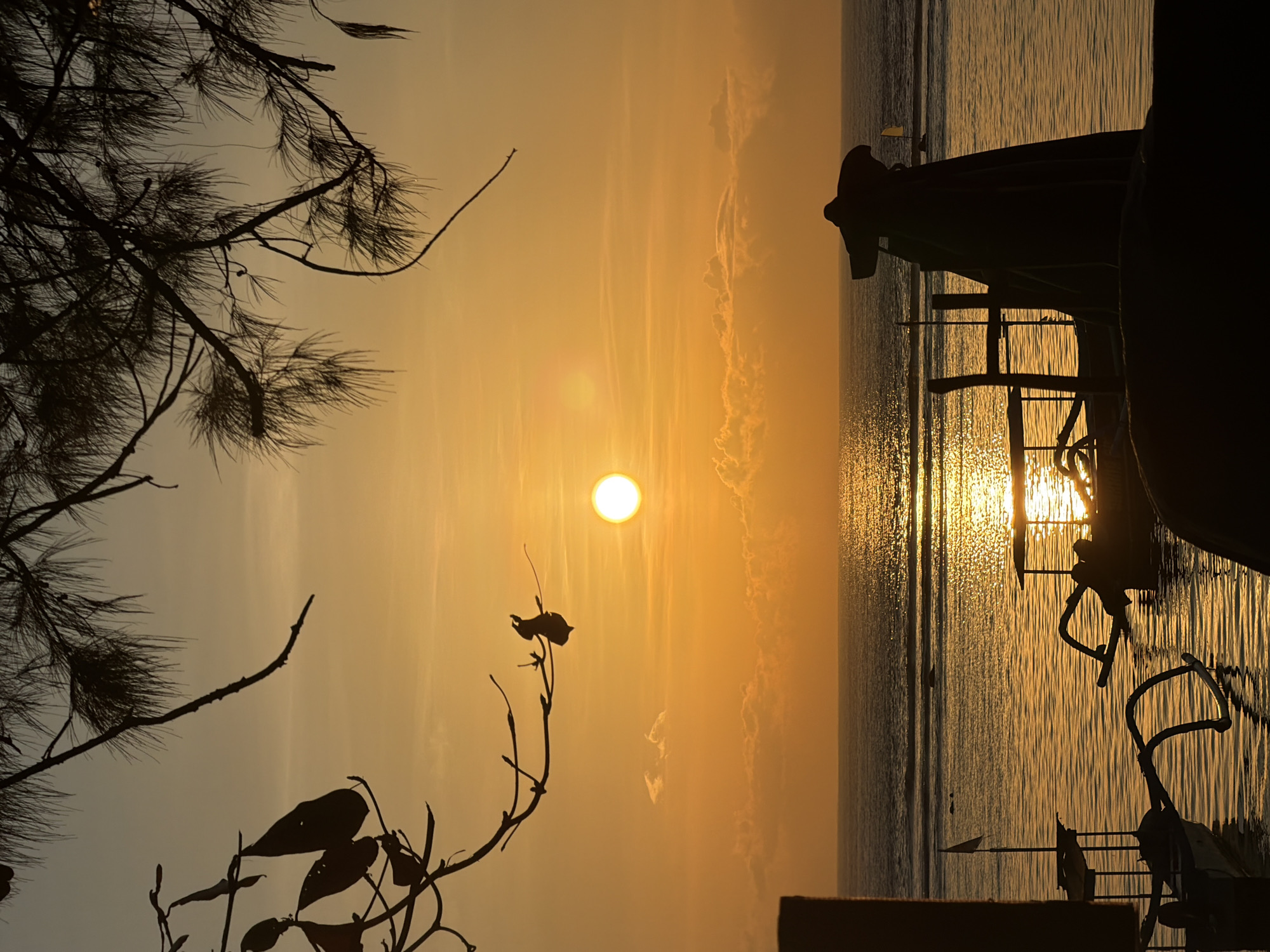 This is a silhouette image of a beach scene in Denpasar, Indonesia, during sunset. The sun is a bright, glowing orb low on the horizon, casting a warm, orange light across the sky and reflecting intensely on the calm ocean water. In the foreground, silhouetted against the vibrant sky, are several elements. To the left, a portion of a dark structure or object is visible. In the water, two traditional outrigger boats are moored. The boat on the left has a small flag flying from a pole, and the one on the right appears to have a shaded canopy structure. Overhead, tree branches, possibly from a pine tree due to the needle-like leaves, hang down, framing the top of the image. The overall mood is serene and tranquil, capturing the beauty of a tropical sunset.