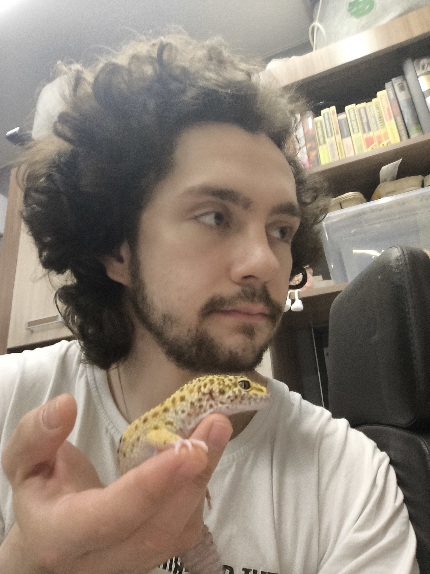A man with curly brown hair and a short beard holds a leopard gecko in his left hand. He wears a white t-shirt. The gecko has yellow and brown spots. Behind the man, there is a shelf with books and a plastic container. A black chair is also visible. The image was taken indoors. There is no indication of the location in the city of Chaikovsky, Russia.