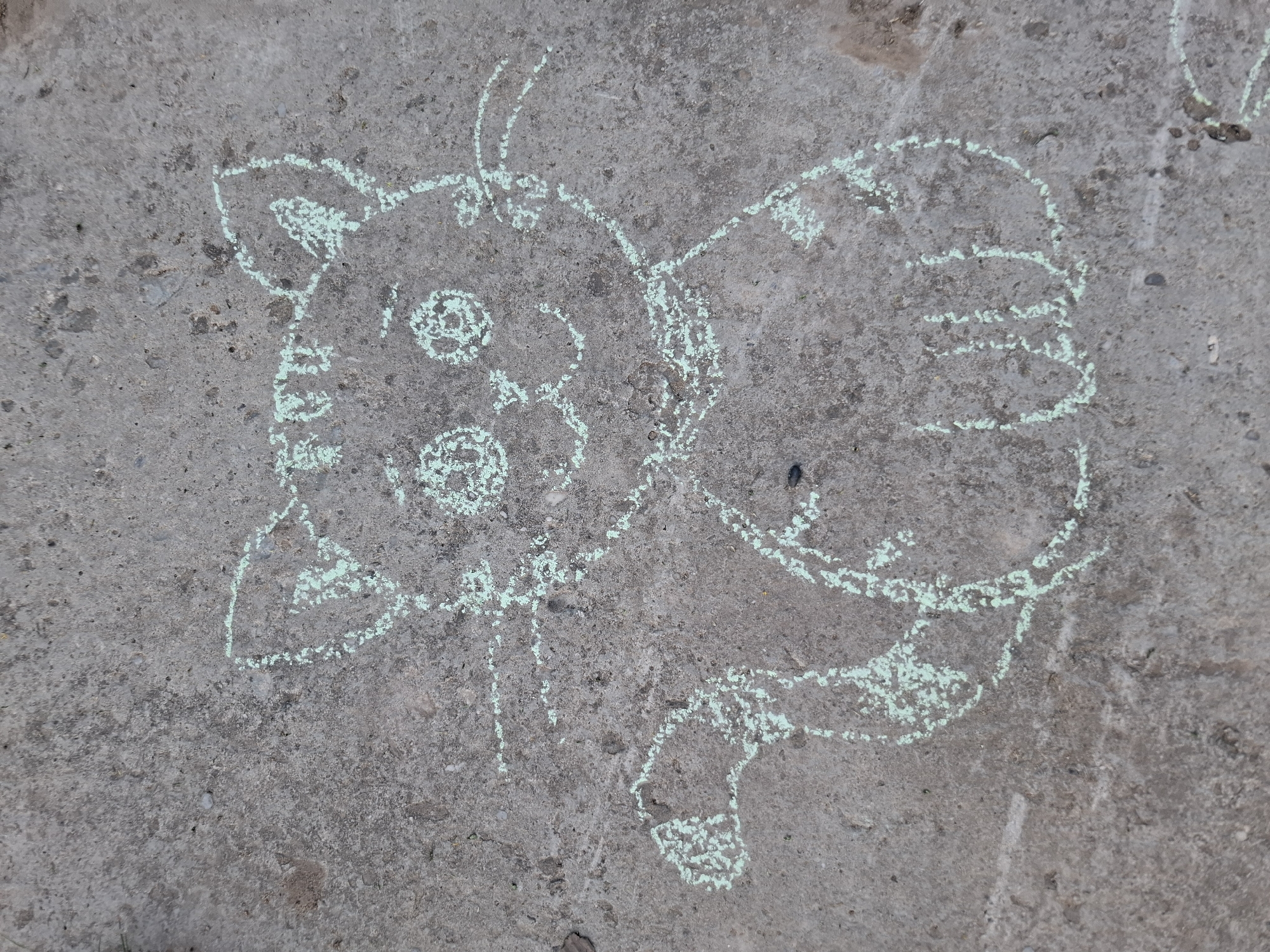 A child's chalk drawing is on a concrete surface. The drawing depicts a cartoon-like animal, possibly a pig, with a round head, circular eyes, and a snout. Adjacent to the animal is another vaguely defined form, perhaps another animal or object. The environment appears to be an outdoor, possibly urban, setting in Амзя, Russia, as indicated by the concrete surface and the context of the prompt.