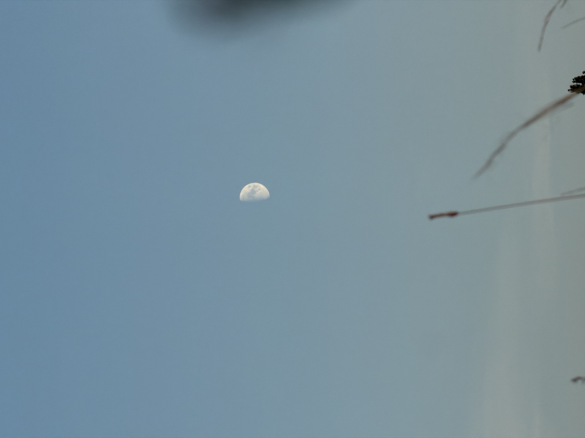 A half-moon is visible in the clear blue sky. In the foreground, tall, thin stalks of dry grass are swaying. A blurred object, possibly a branch or a structure, is visible on the right side of the image. The scene appears to be an outdoor landscape, likely in a rural or natural setting. There are no people or animals present. The location is identified as Nizhnyaya Lipovka, Russia.