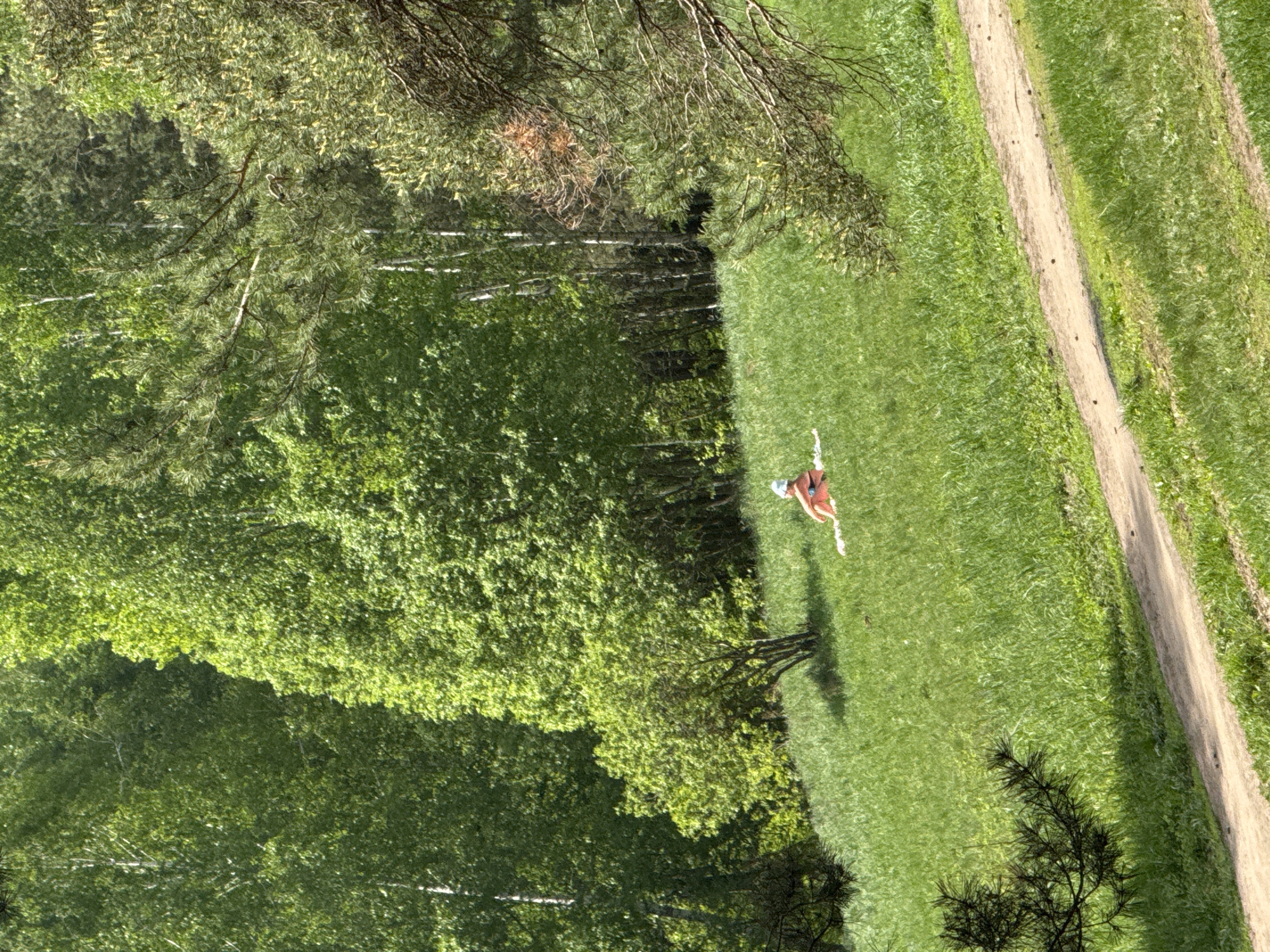 The image, taken from an elevated perspective, depicts a person lying on a green lawn adjacent to a forest, with a dirt path running parallel to the lawn. The person is wearing a reddish-brown top and a light-colored head covering. The location is likely in Kazan, Russia, given the context. Details: The person is on the grass and there is a path visible. There are dense trees on the left side. The lighting suggests it is a sunny day. The person seems to be resting.