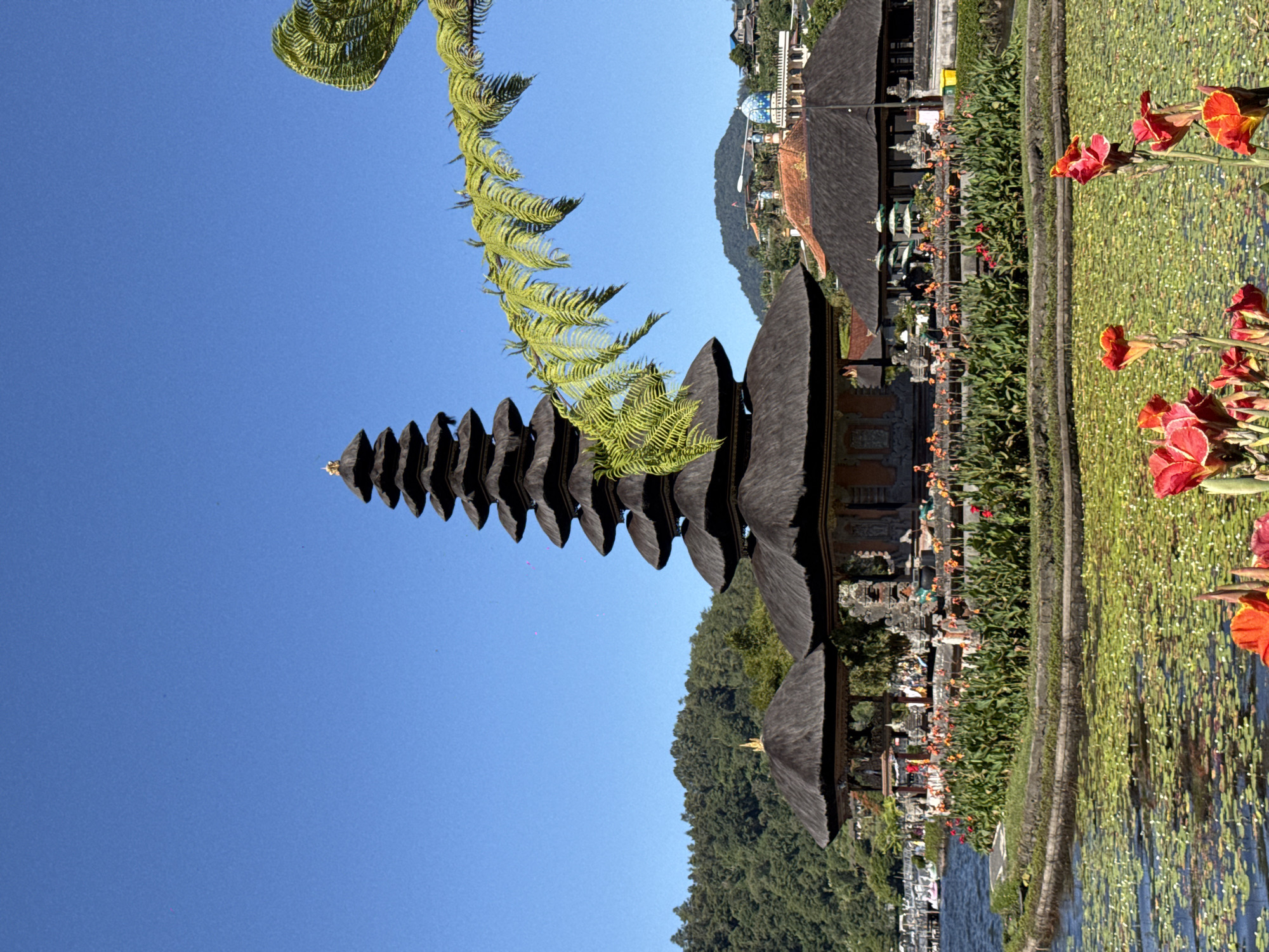 The image shows the Pura Ulun Danu Bratan temple complex in Baturiti, Indonesia, on a clear day. The temple is situated on the edge of Lake Beratan, which is covered in lily pads. The main temple structure is a multi-tiered pagoda with a dark, thatched roof, topped with a golden finial. In front of the main structure are smaller, open-sided pavilions also with thatched roofs. The temple island is surrounded by a low stone wall and adorned with lush green plants and vibrant red and orange flowers. In the background, a dense, green forest covers rolling hills, and beyond that, a faint outline of mountains. The sky is a bright, cloudless blue. The scene is serene and picturesque, typical of a tourist destination in Bali.