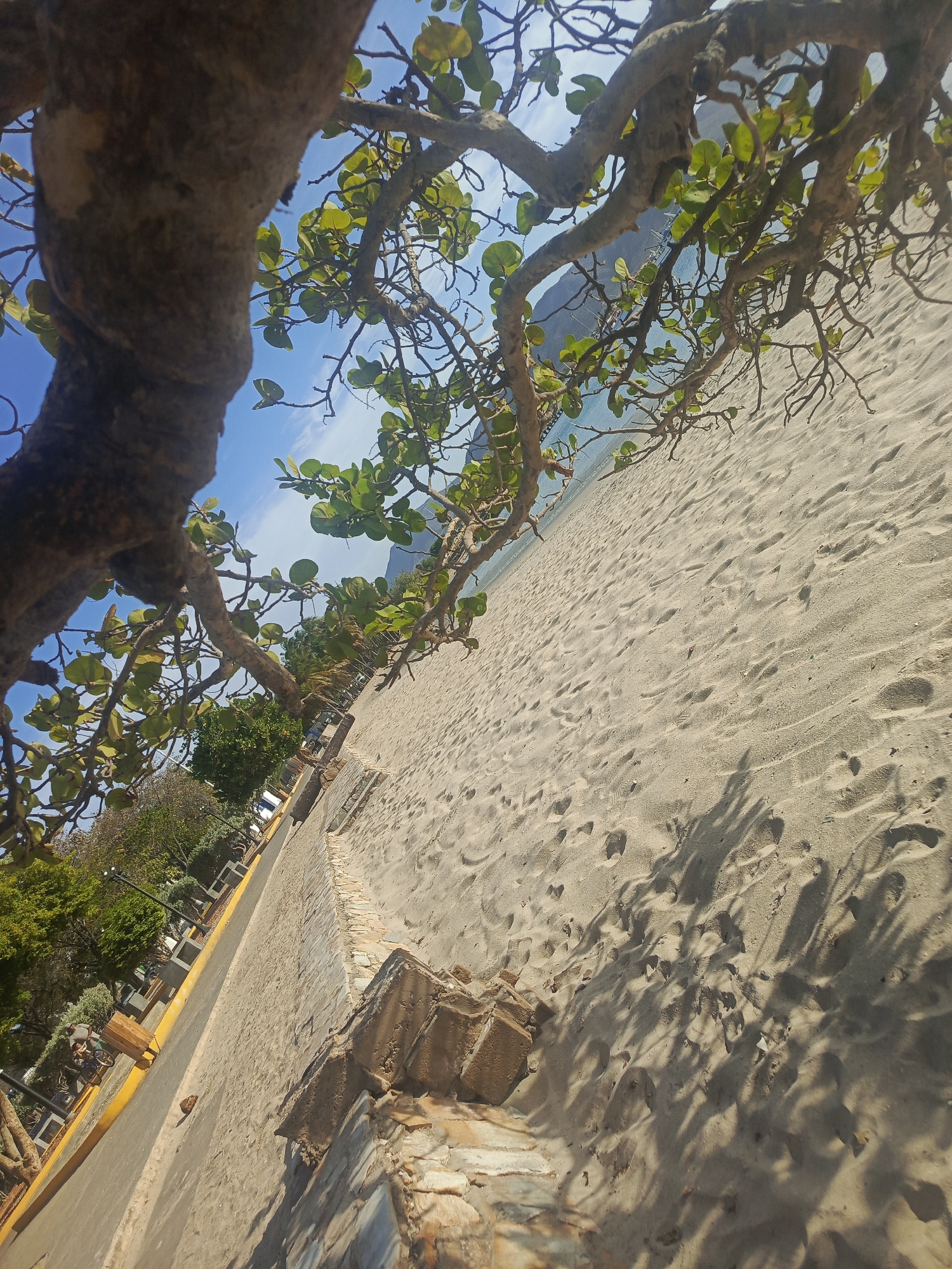 The image shows a beach scene in Juan Griego, Venezuela. The foreground is dominated by a tree with twisting branches and round green leaves, obscuring the view. The beach is sandy, with numerous footprints and shadows. To the left of the beach is a stone wall or barrier, alongside a paved area with trees and street furniture. In the distance, there's a faint view of mountains and the ocean. The sky is blue with scattered clouds. The perspective is slightly tilted, capturing both the tree canopy and the expanse of the beach.