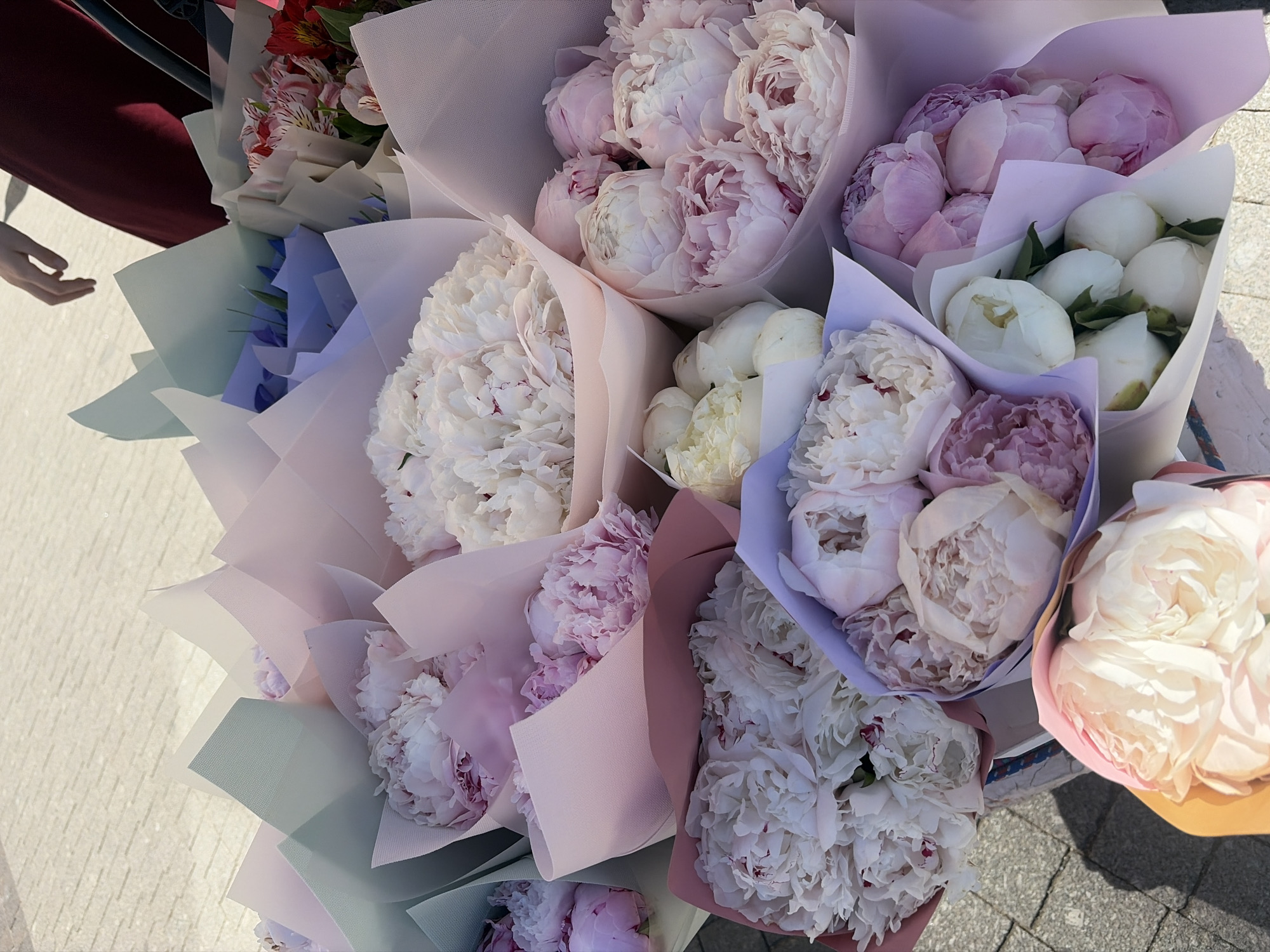 A top-down, medium shot captures a display of freshly cut peony bouquets in muted pastel wrapping paper, arranged outdoors on a paved walkway. The bouquets are tightly packed, creating a colorful gradient of white, pale pink, and deep rose hues. Some bouquets are wrapped in light blue, pink, and mint green paper, adding to the visual appeal. In the upper right corner, a person's hand wearing a dark red sleeve is visible, reaching towards the flowers, suggesting they are either arranging or purchasing them. The background consists of a sunlit, textured paving stone surface. The overall scene suggests a flower market or street vendor. The lighting indicates it is daytime, likely under direct sunlight, casting soft shadows on the ground.