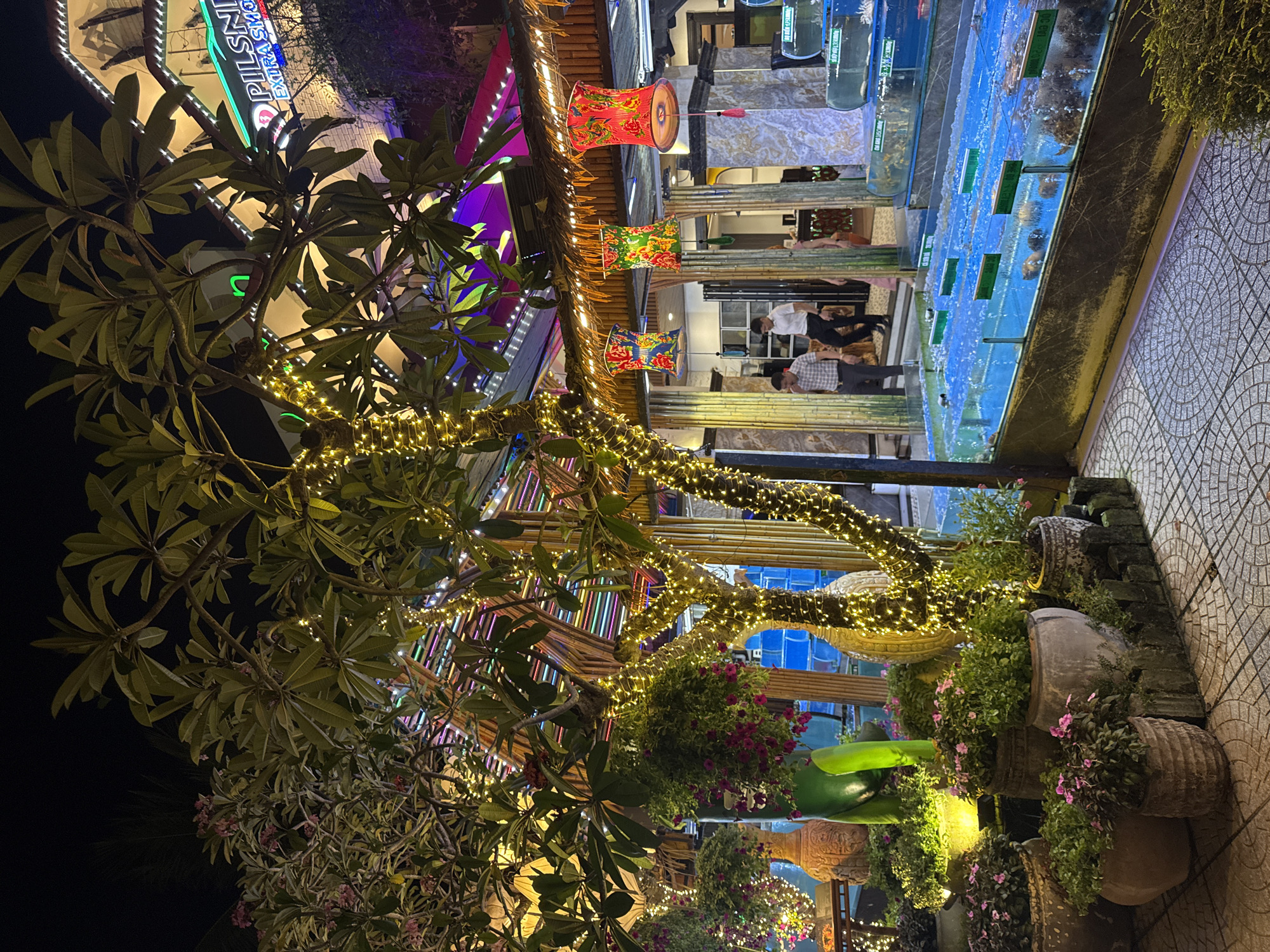 The image is an exterior shot of a restaurant in Đà Nẵng, Vietnam, captured at night. The main subjects are: A large tree in the foreground adorned with string lights. The restaurant facade, featuring a lit "Pilsner Urquell" sign and colorful lanterns hanging from the roof. A row of aquariums displaying seafood. Some people are visible inside the restaurant. A tiled patio area is in the right foreground. The overall environment is illuminated with the restaurant's lights and decorative lighting.