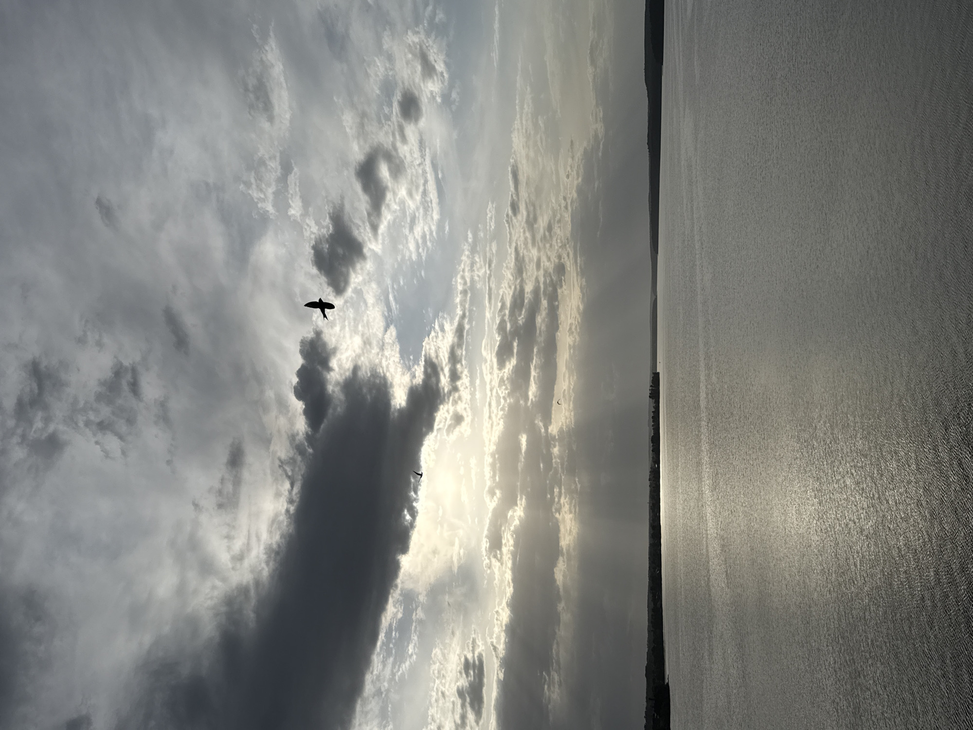 A panoramic view of a body of water alongside a sky with varying cloud formations and shafts of sunlight. The scene is likely a body of water in Votkinsk, Russia, as indicated by the context provided, although specific landmarks that are found only in Votkinsk are not visible in the photo. The clouds range from light to dark gray. Two birds are visible in the sky. The water surface appears to have light reflecting from the sunlight. The photo is taken at an angle or turned sideways. The land or skyline is visible on the horizon.