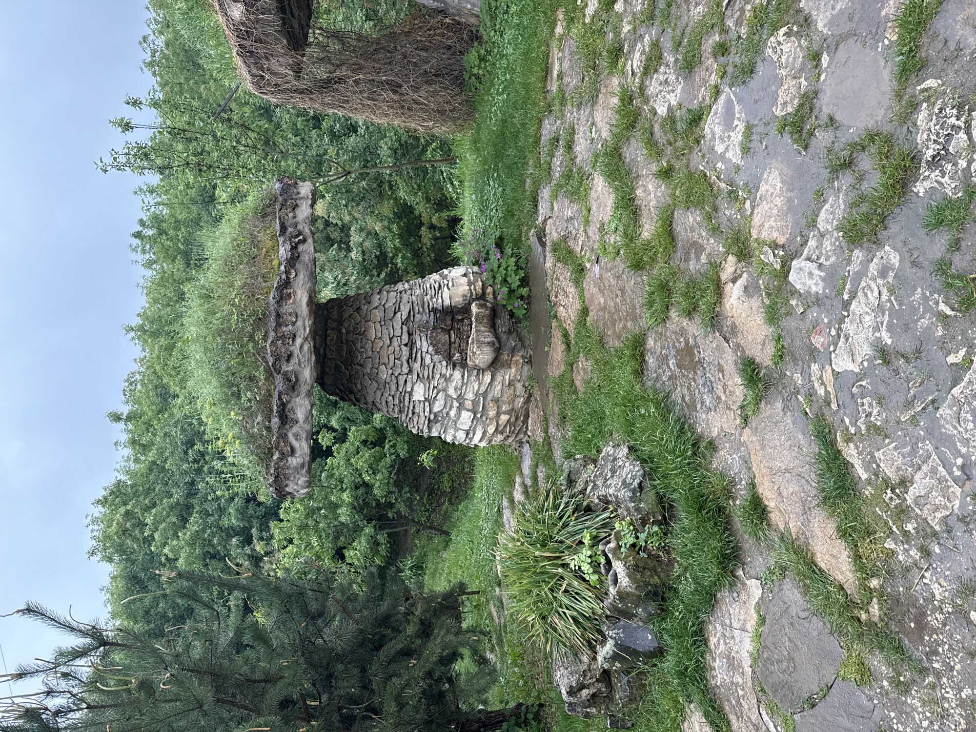The image shows a stone structure resembling a mushroom in a garden in Lukovit, Bulgaria. The structure has a wide, flat, grassy top and a base constructed from layered stones. Purple flowers grow near the base of the structure. The ground consists of irregular stone slabs with grass growing between them. Trees and greenery form the background. A pine tree is visible in the lower left. The sky is overcast.
