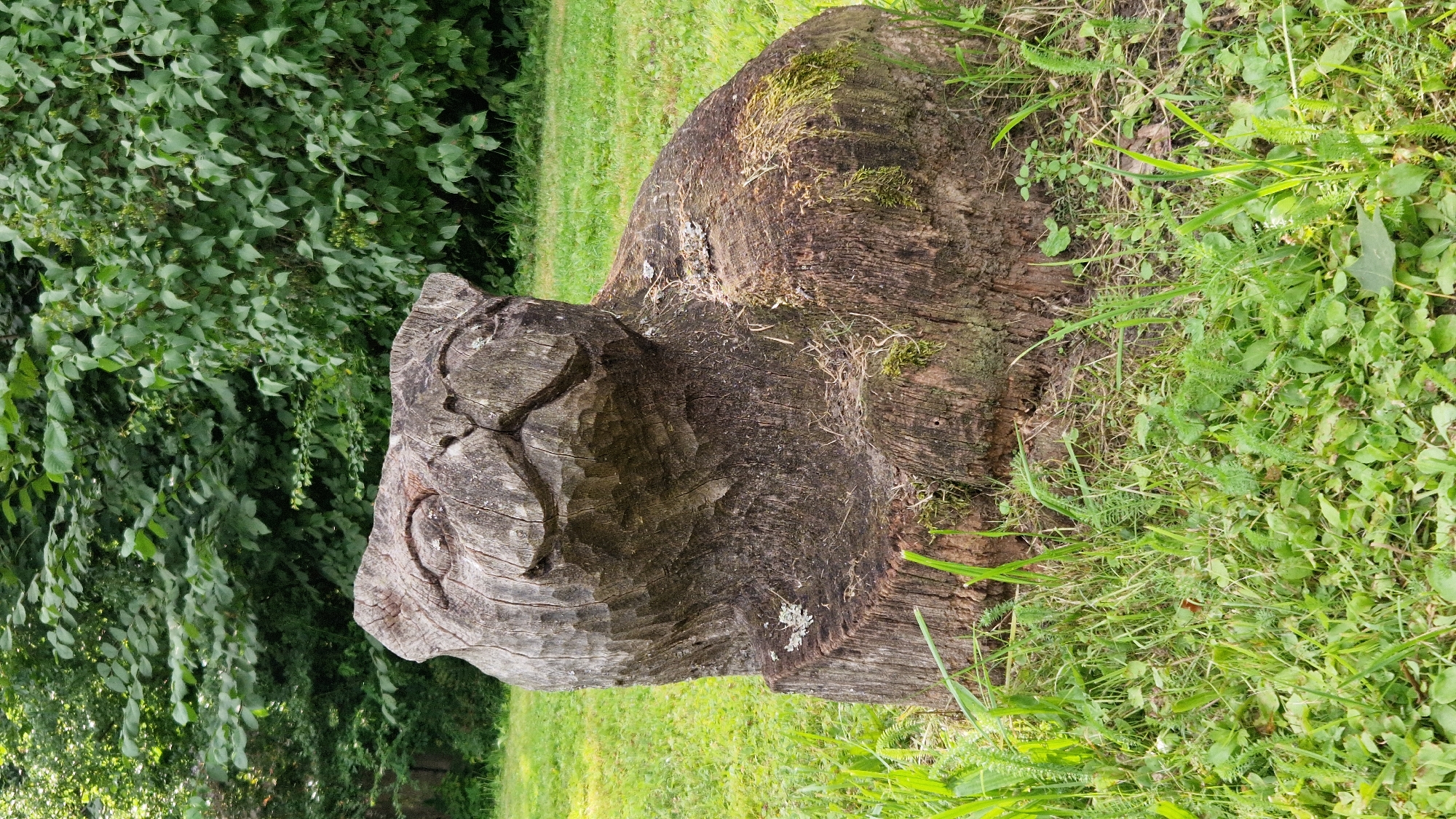 A weathered wooden sculpture resembling a cat is situated on a grassy area with lush green trees in the background. The sculpture is carved from a tree stump and depicts the cat in a seated position, with carved eyes and facial features. Some moss and dried grass are visible on the surface of the wood. The sculpture is located outdoors in what appears to be a park or natural setting.