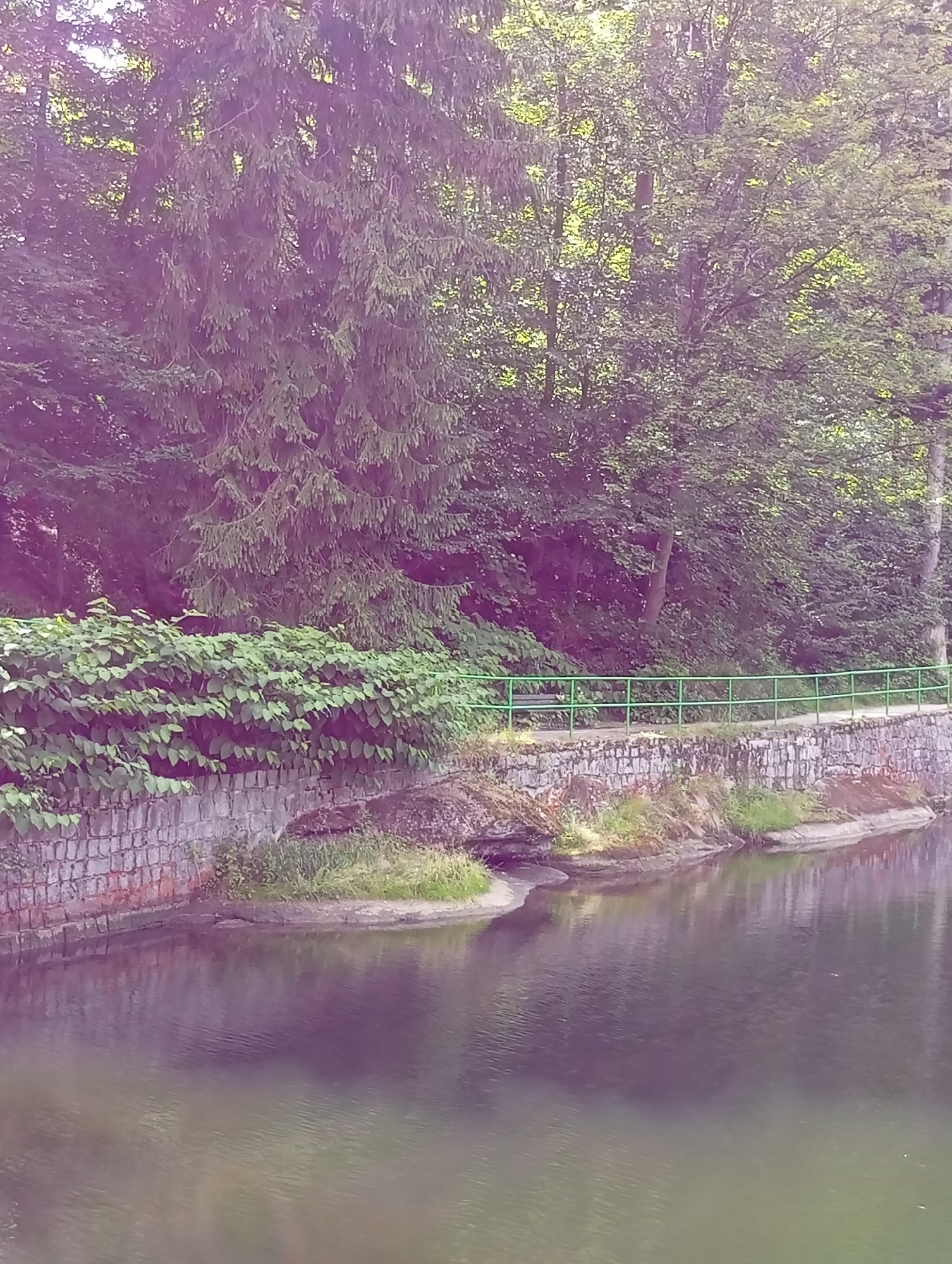 The image shows a scenic view of a body of water, likely a pond or lake, in Karpacz, Poland. The water's surface is calm and reflects the surrounding environment. Along the edge of the water, there is a stone embankment topped with lush green foliage. Further back, a walking path is visible, bordered by a bright green metal railing. Beyond the path, a dense forest with a variety of trees, including coniferous and deciduous species, forms a natural backdrop. The overall atmosphere of the scene is peaceful and serene, suggesting a natural park or a recreational area within the city.