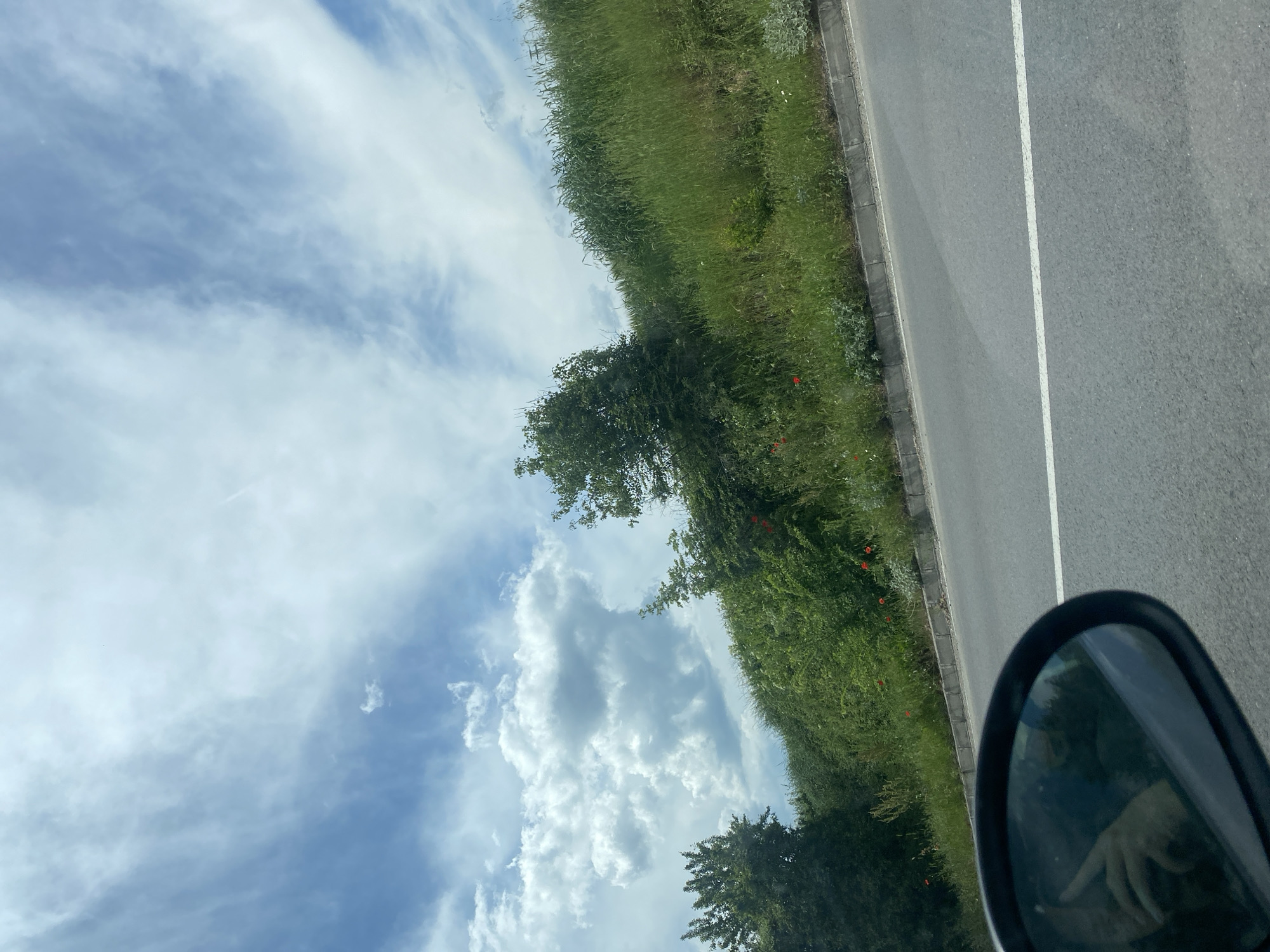 The image depicts a roadside view taken from inside a moving vehicle. The scene is partially obscured by the car's side mirror, which occupies the lower-right portion of the frame and reflects an indistinct image. A two-lane asphalt road with a solid white dividing line is visible to the right of the frame. The roadside features a strip of green vegetation that borders the asphalt and leads to trees. Some red flowers are visible among the vegetation. The sky above is blue with textured white clouds. There is no specific detail identifying the location as Selishte, Bulgaria. No people are visible.