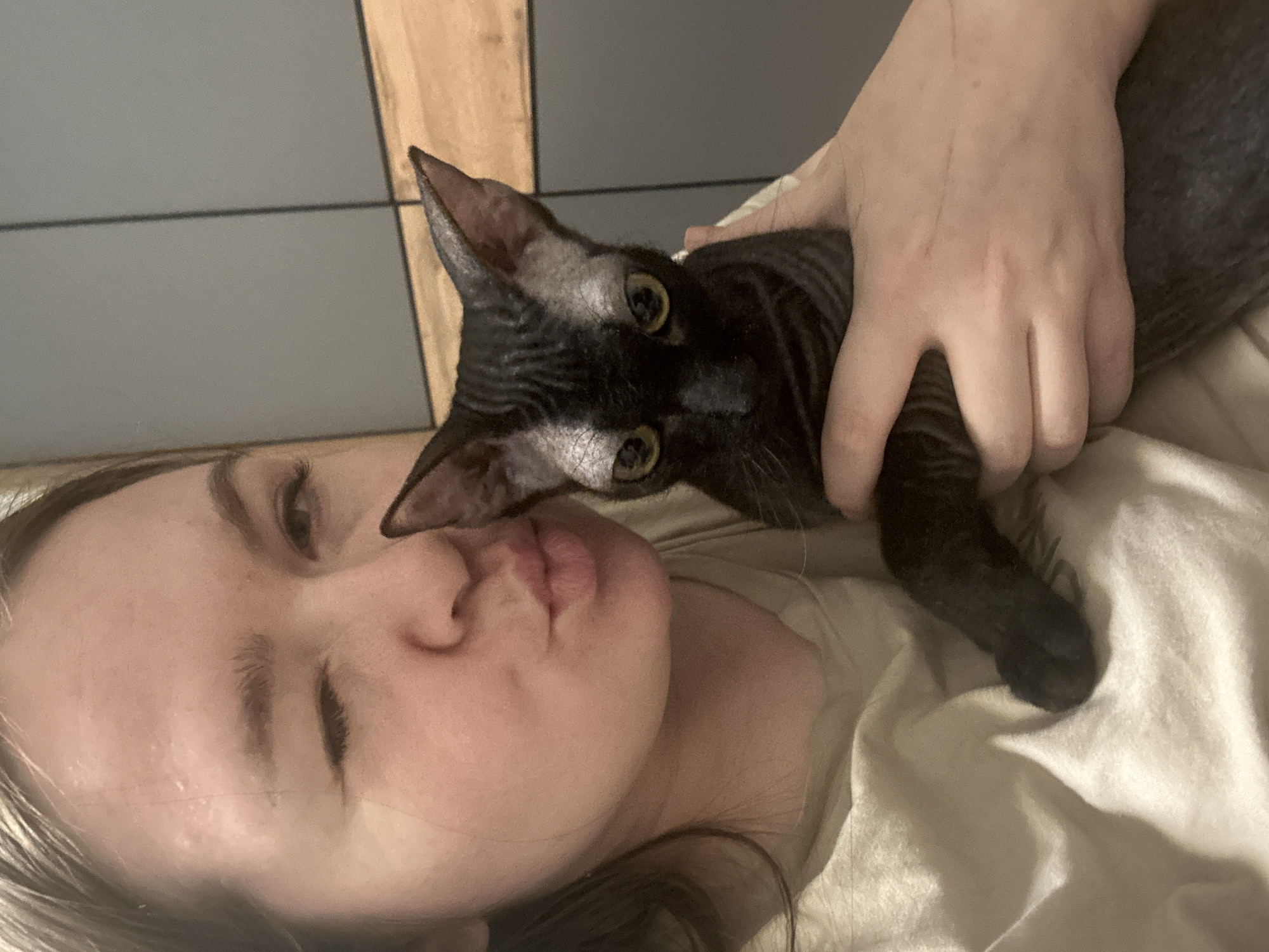 This vertical close-up shot captures a tender moment between a person and a cat in an indoor setting. A person, likely female, with fair skin and dark hair, is lying down on light-colored bedding. Her head is tilted, and she is making a puckering "kiss" face towards the cat positioned beside her face, conveying affection and playfulness.
The cat is a dark-colored, likely hairless or very short-haired breed, such as a Sphynx, distinguishable by its wrinkled skin, large pointed ears, and slender build. Its striking yellow-green eyes are wide and focused directly on the camera, giving it an attentive expression. The person's hand gently holds the cat, and faint scratches are visible on the skin of the hand, typical for pet owners.
The background features a modern interior with a light wooden panel on the right and a grey wall panel with a horizontal divide on the left. The lighting is soft and ambient, suggesting a cozy indoor environment, possibly a bedroom or living area. No text is visible within the image. The scene depicts a warm and loving interaction between a pet owner and their cat in Chaikovsky, Russia.