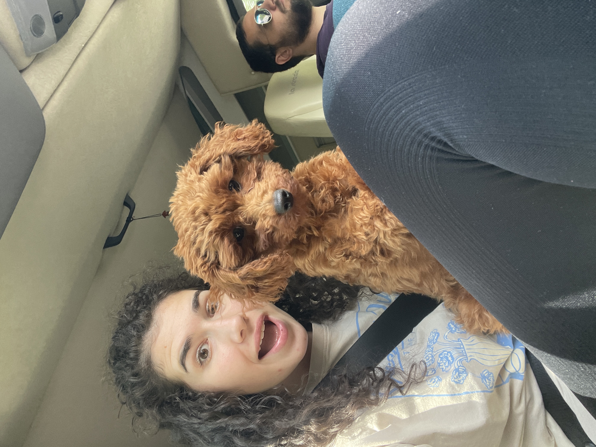 The image depicts an interior scene within a vehicle in the city of Chelopech, Bulgaria. Three subjects are present: a young adult female, a reddish-brown curly-haired dog, and an adult male.
The female, positioned in the front passenger seat in the left foreground, has dark, curly hair and fair skin. Her mouth is open in an expressive manner, revealing teeth. She is wearing a light-colored t-shirt with a light blue floral graphic and black ribbed leggings. A black seatbelt diagonally crosses her torso.
A small to medium-sized dog with dense, reddish-brown curly fur is seated between the female and the male, appearing to rest partly on the female's lap or leg. The dog has dark eyes and a dark nose and is looking directly at the camera.
In the right background, an adult male occupies the driver's seat. He has dark hair and a beard, and wears dark, reflective sunglasses. His attire includes a dark top with visible purple and blue/teal stripes. He is looking to the right, away from the camera. Behind him, a cream-colored car seat with the text "la strada" is partially visible.
The vehicle's interior features a light-colored headliner, a grey sun visor, and an overhead console with a speaker grill and a button. A small dark object hangs from the ceiling fixture on the left. The scene is illuminated by natural light, indicative of daytime.
