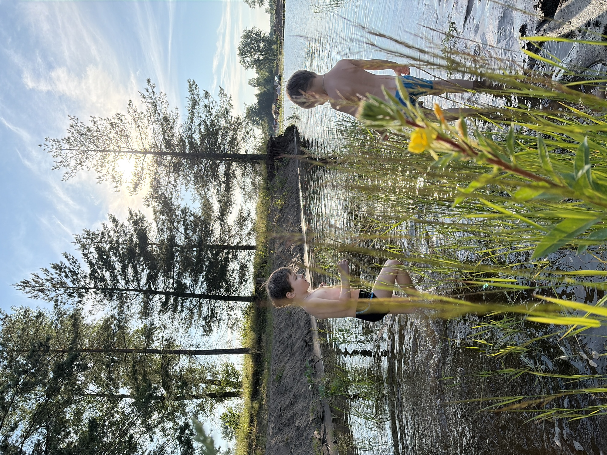 The image depicts two young boys playing in a shallow body of water. One boy, in the foreground, is submerged up to his waist, with his body angled towards the viewer and his head turned to the side, looking up. He has short, light brown hair and is wearing dark swim trunks. The second boy is further back in the water, also partially submerged, with his back to the camera and his head turned to the left. He appears to be wearing blue and patterned swim trunks.
The setting is a natural environment with a body of water that appears to be a lake or river. Tall grasses and reeds line the edge of the water, with some yellow flowers visible in the foreground. Beyond the water, the landscape includes a sandy or muddy bank, a line of tall trees, and in the distance, more trees and what might be tents or vehicles, suggesting a campsite or recreational area. The sky is blue with wispy white clouds, and the sun is shining brightly, casting a strong glare on the water and creating reflections. The sun is positioned behind some of the trees on the left side of the image, indicating it is likely late afternoon or early evening. The overall mood is one of summer recreation and childhood enjoyment. The image is oriented vertically, with the sky at the bottom and the water at the top.
