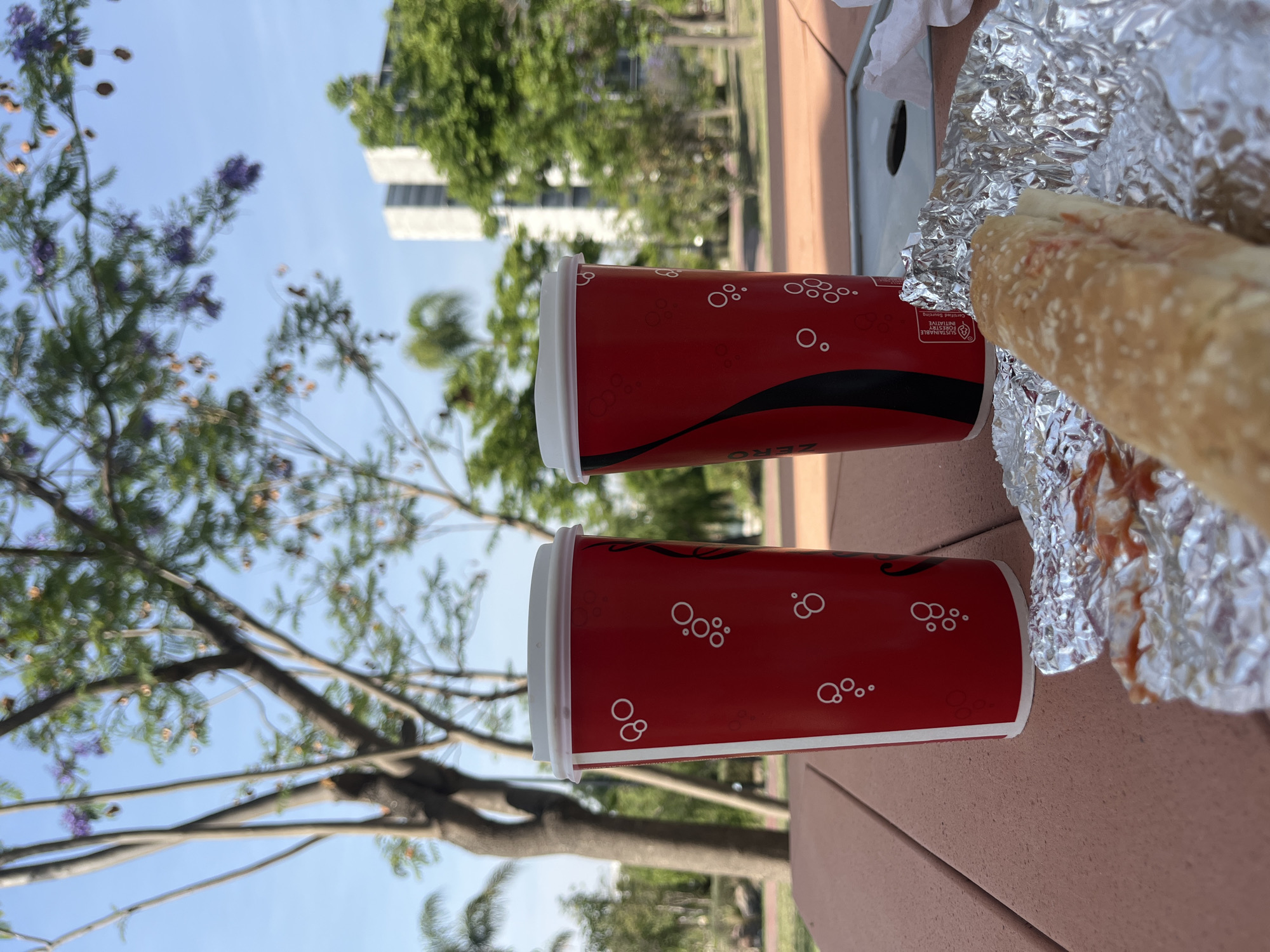 The image shows two red Coca-Cola Zero cups with white lids resting on a brown surface, possibly a table. To the right, there's a sandwich wrapped in foil. The background includes trees and a building, suggesting an outdoor setting in a park or campus. The sky is visible in the upper left corner.